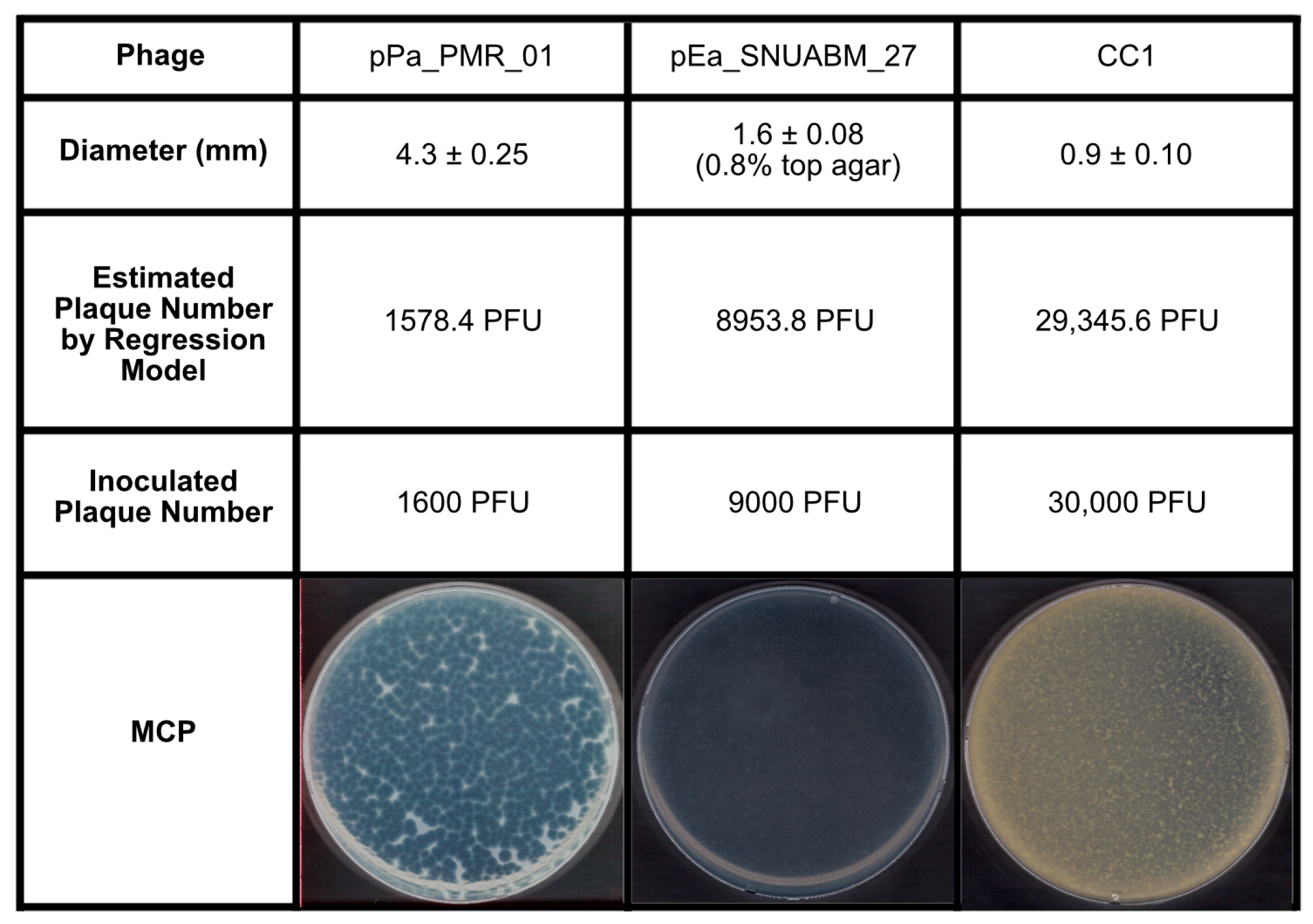 Antibiotics 14 00002 g003 Antibiotics 14 00002 g003