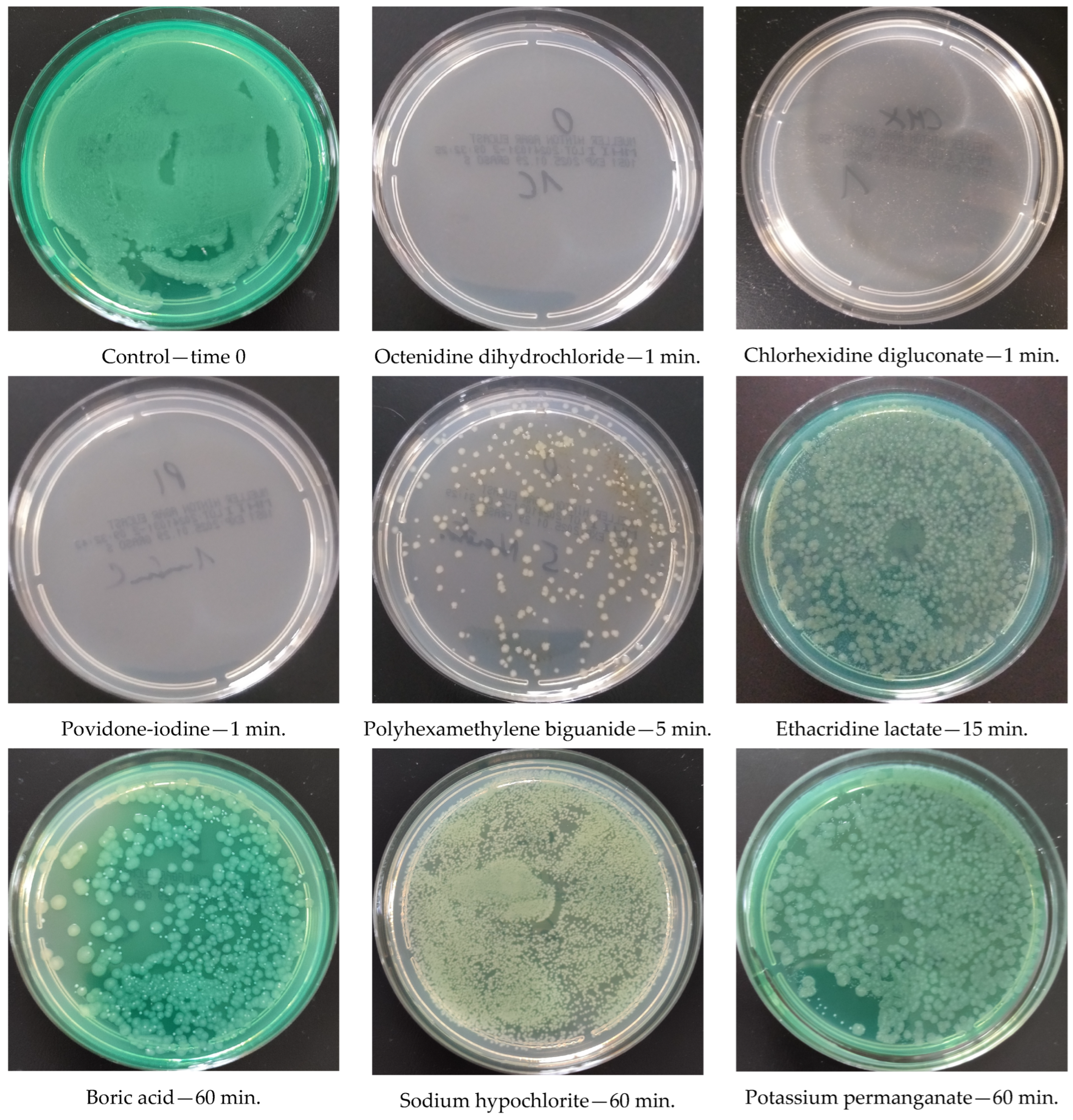 Antibiotics 14 00030 g002