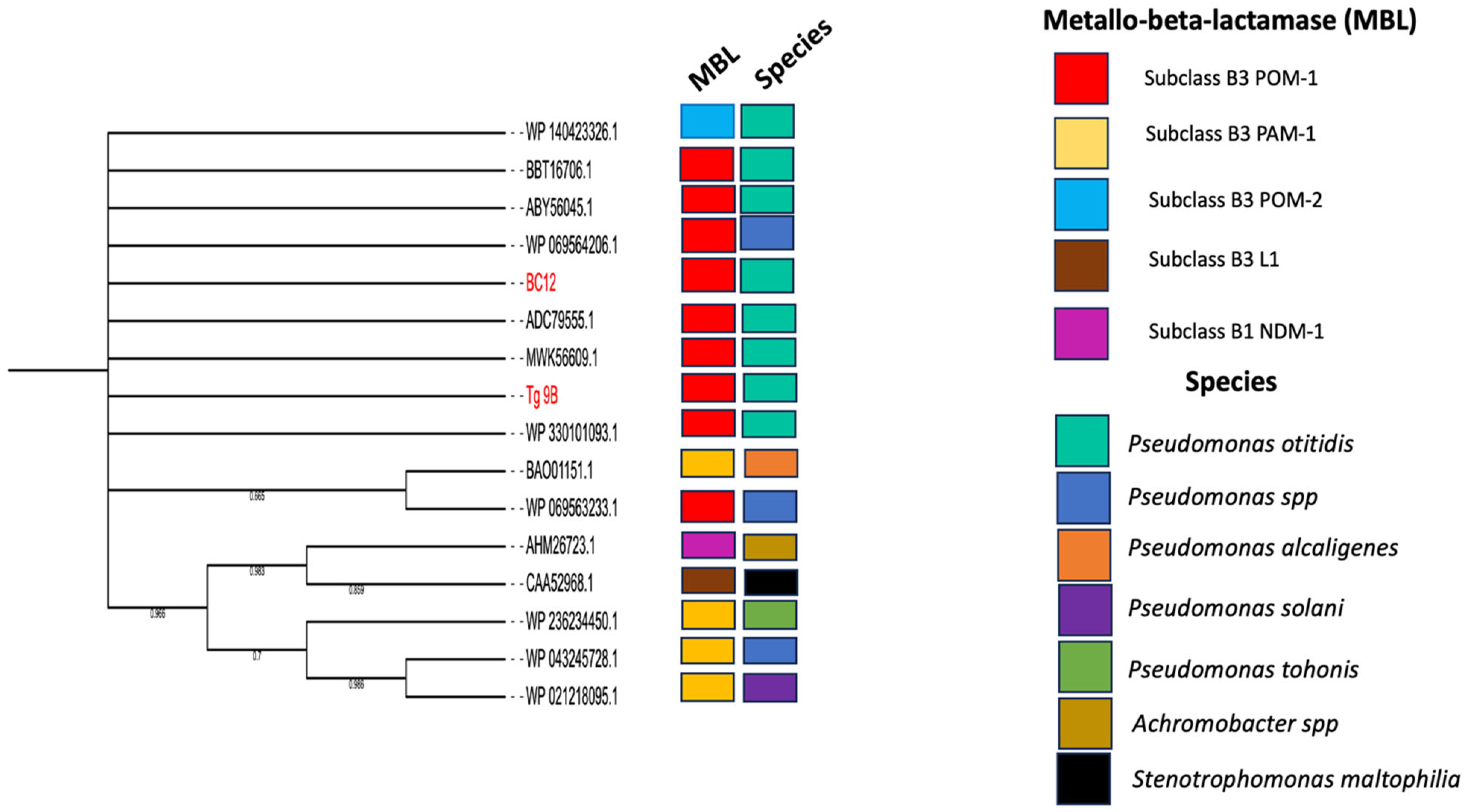 Antibiotics 14 00050 g002