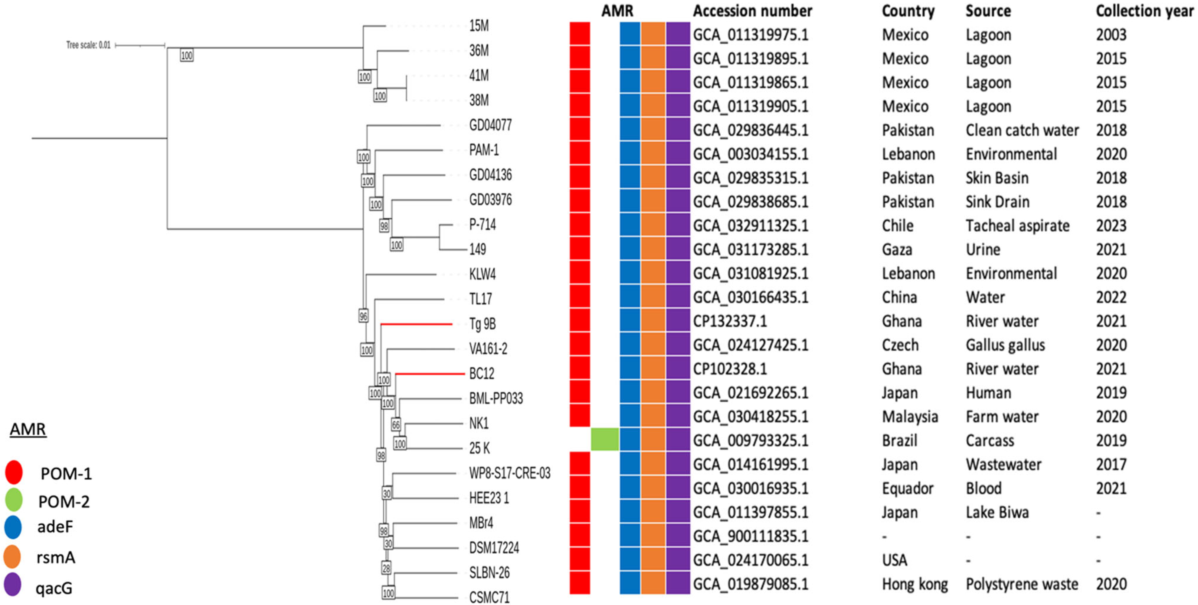 Antibiotics 14 00050 g003