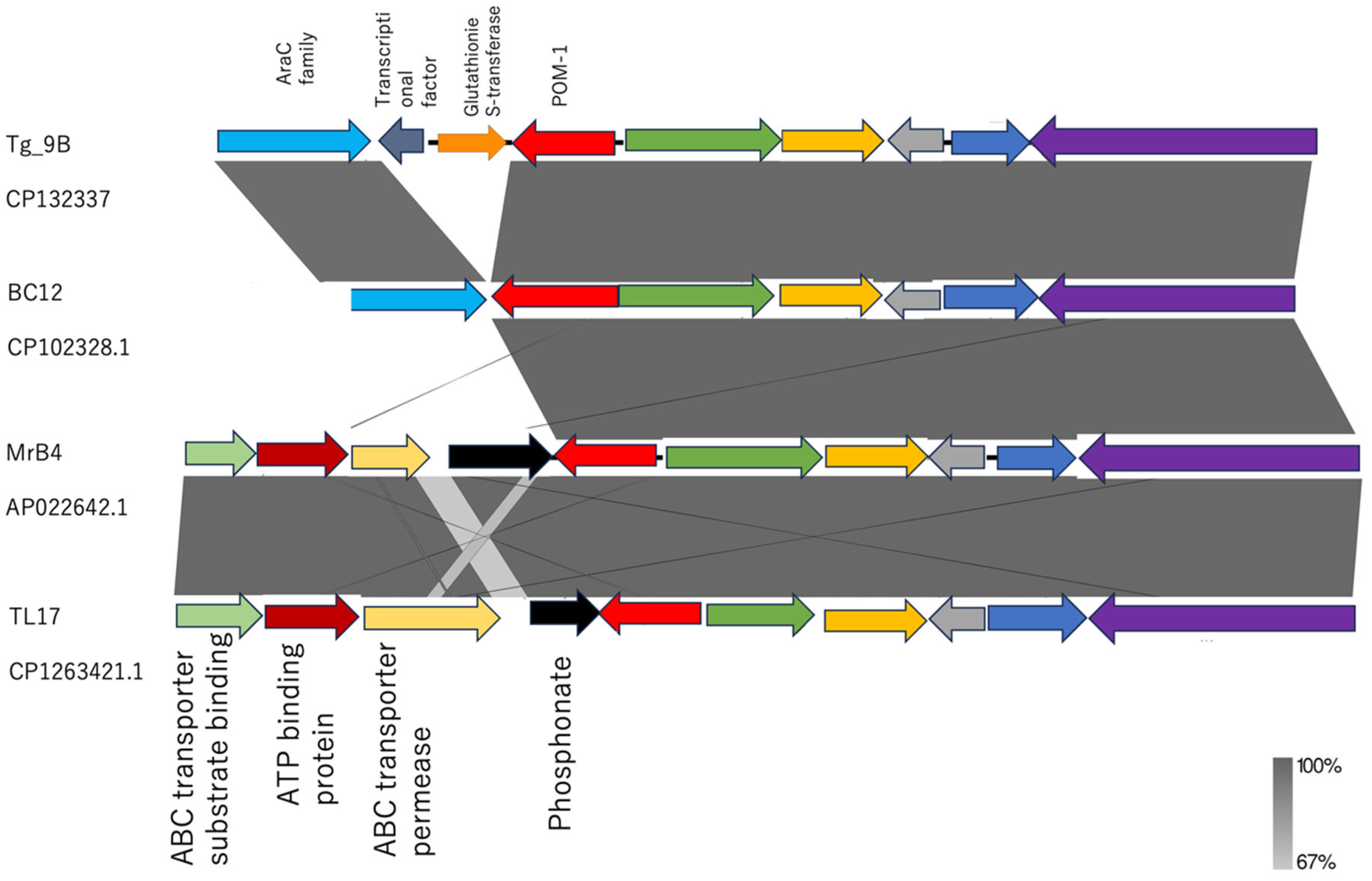Antibiotics 14 00050 g004