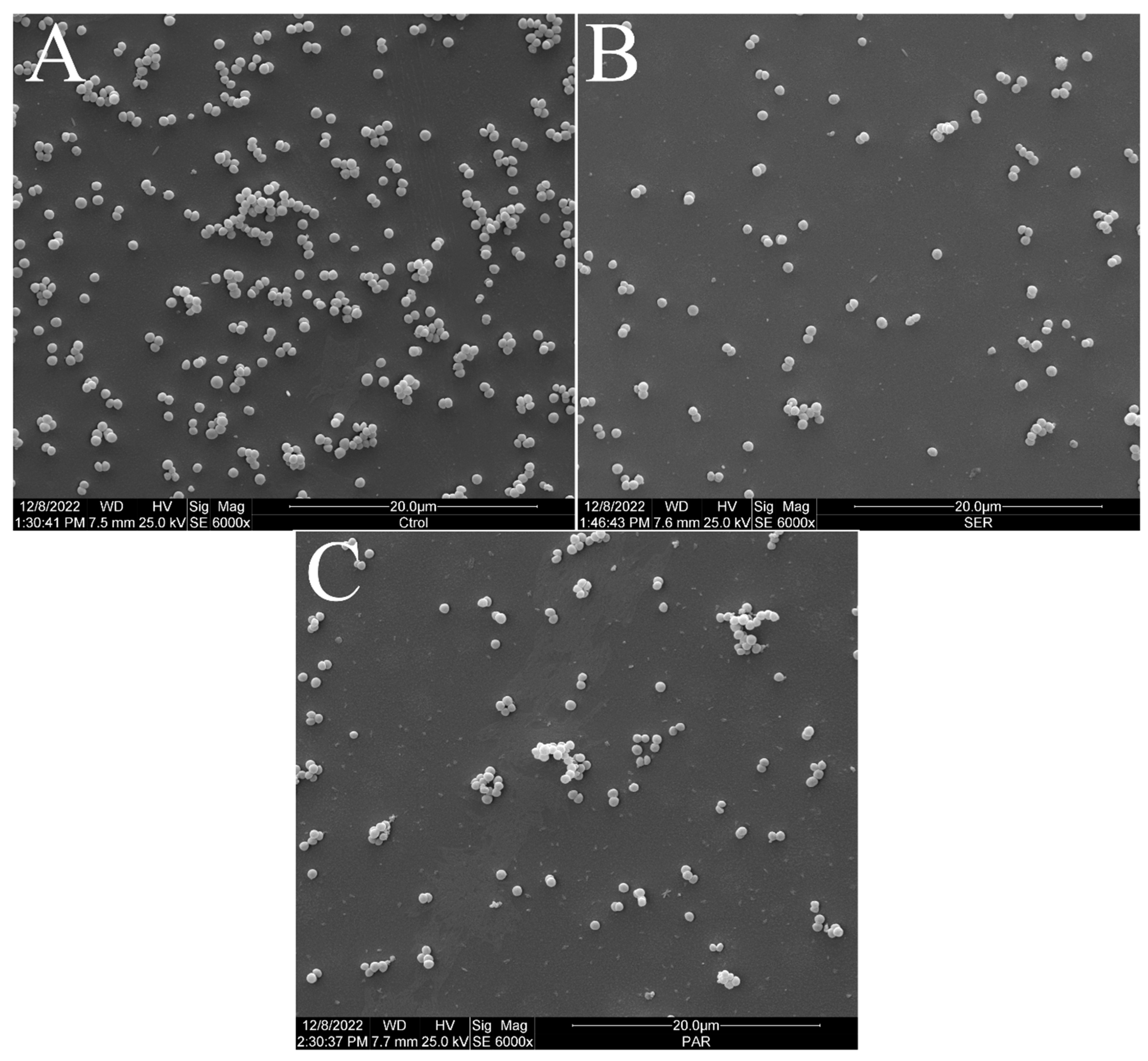 Antibiotics 14 00051 g002