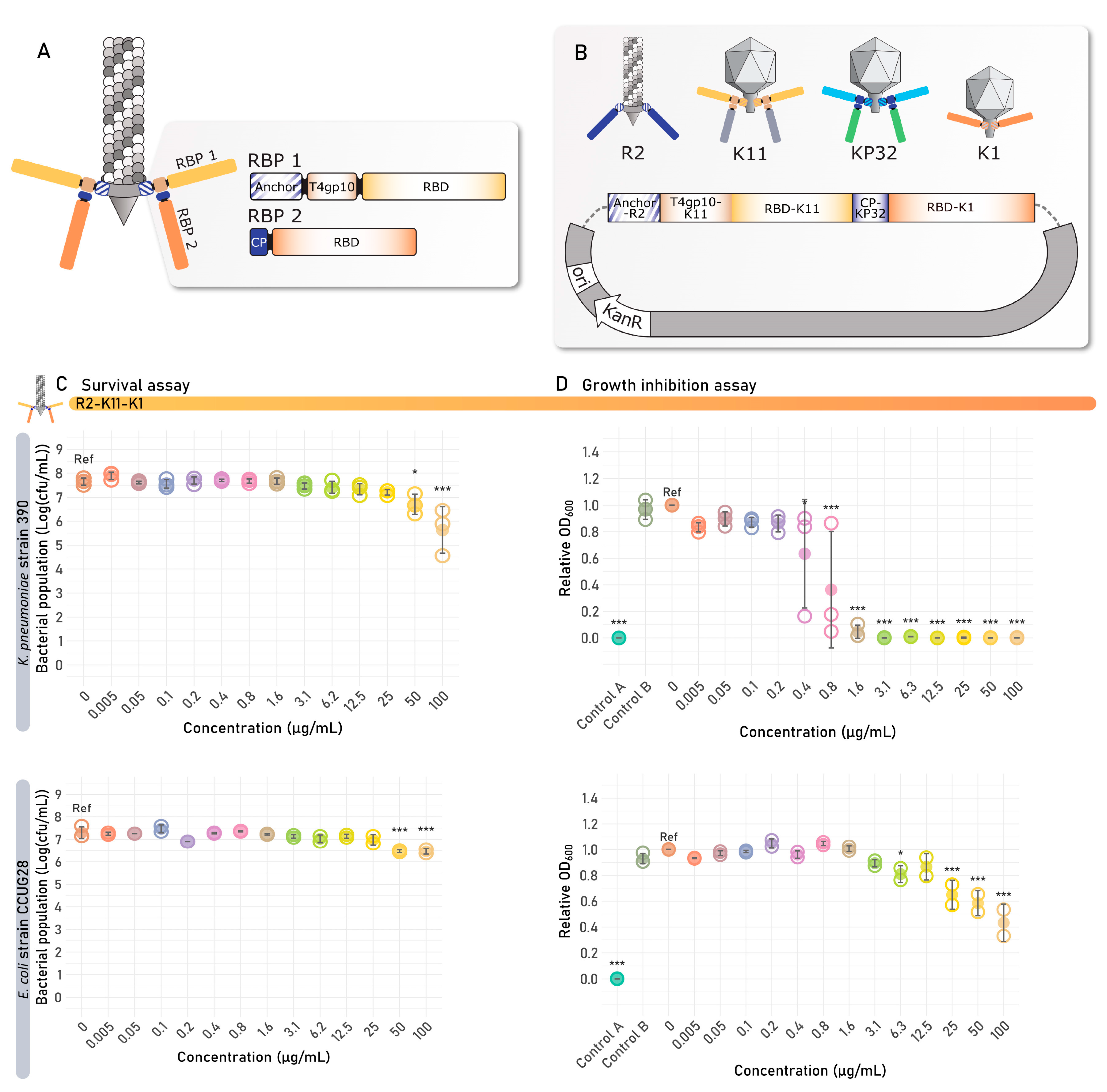 Antibiotics 14 00104 g007