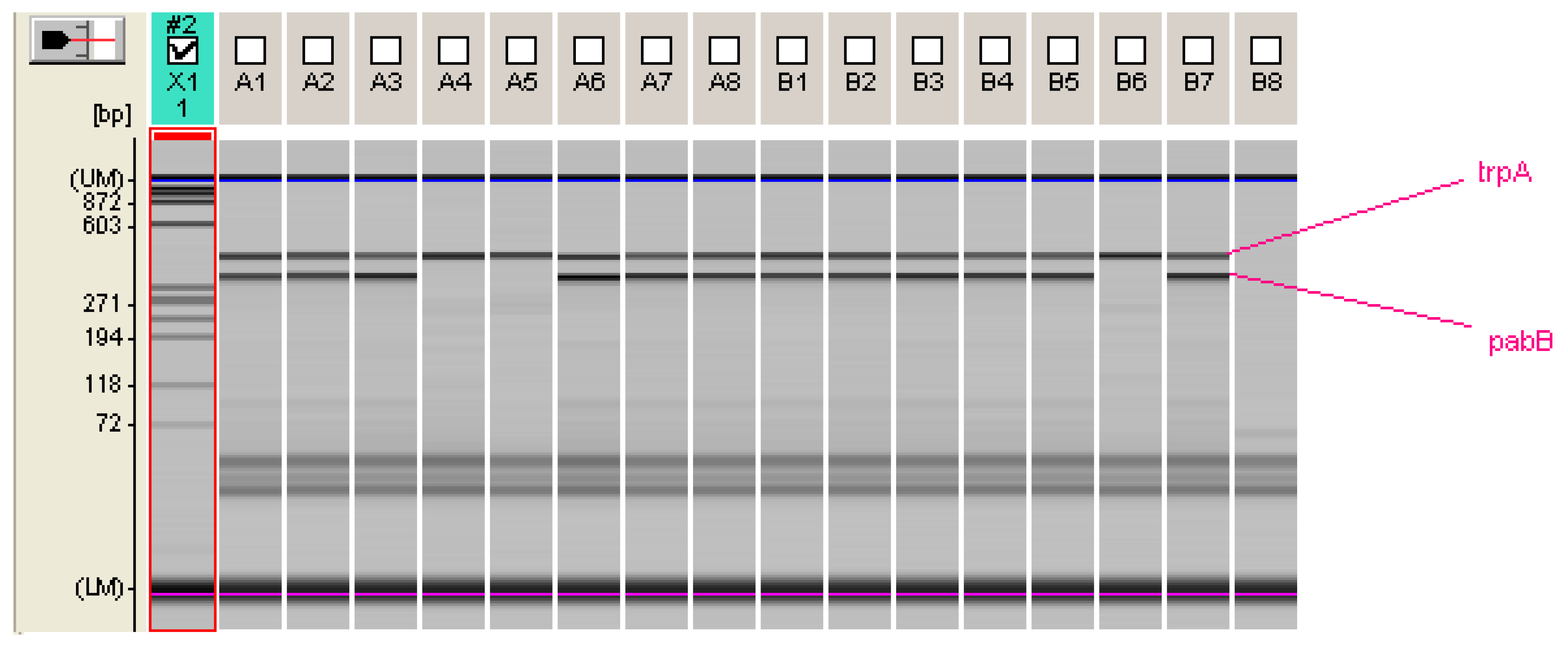 Antibiotics 14 00109 g001