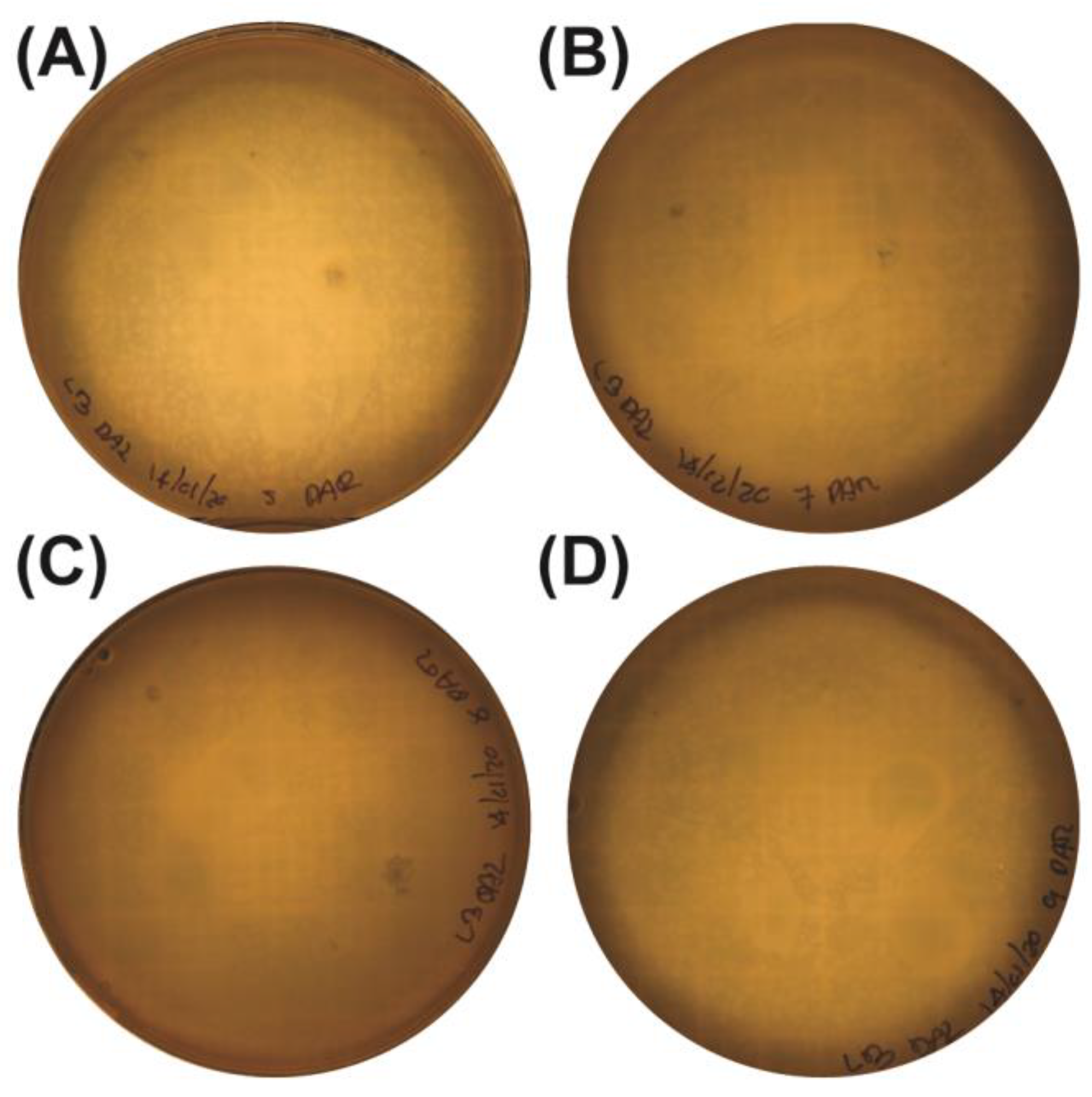 Antibiotics 14 00110 g001