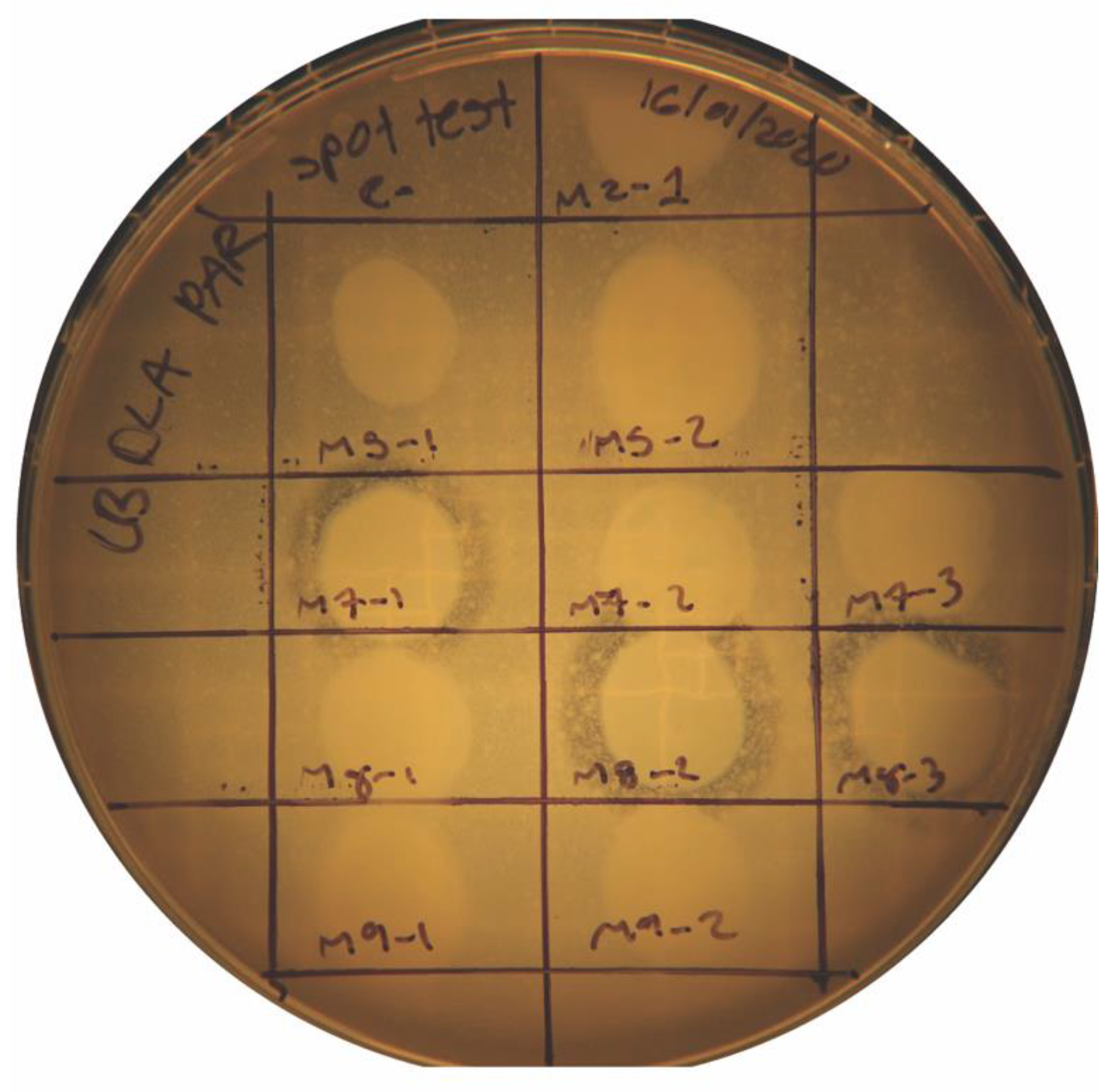 Antibiotics 14 00110 g002