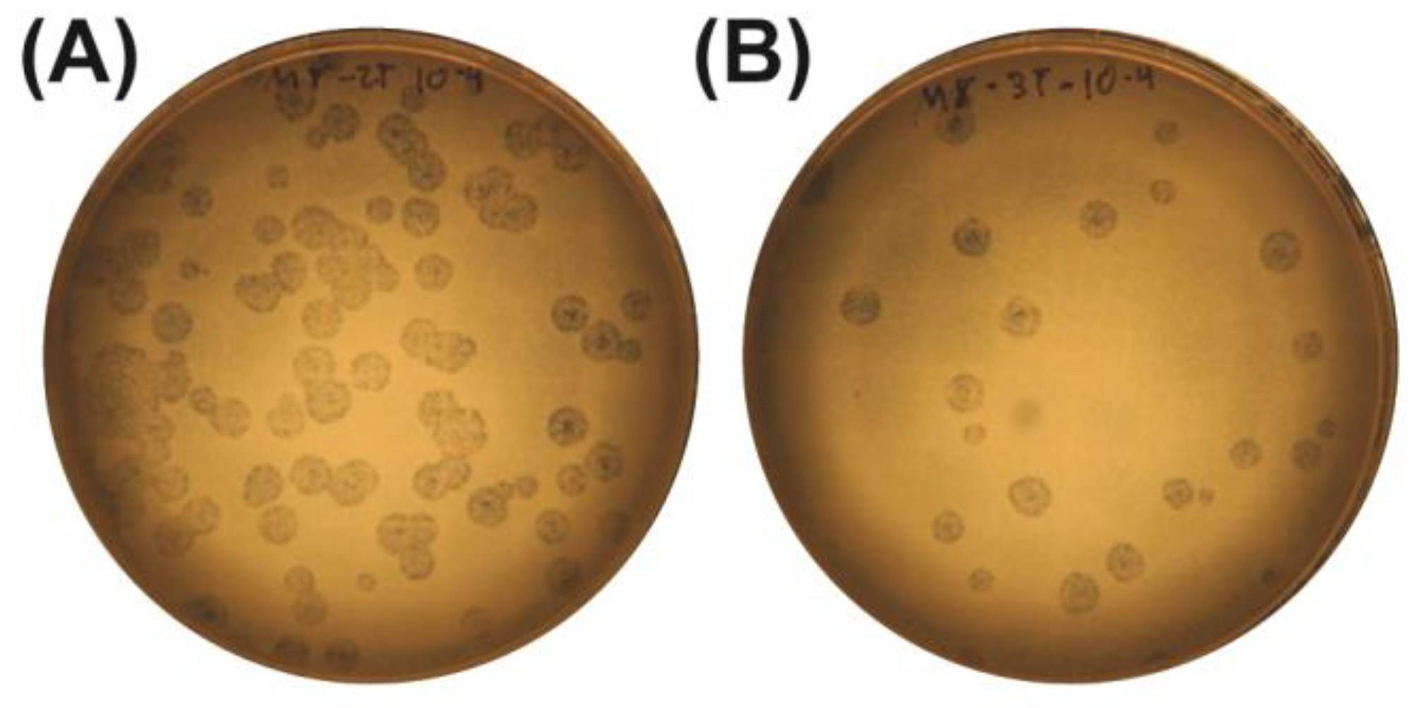 Antibiotics 14 00110 g003