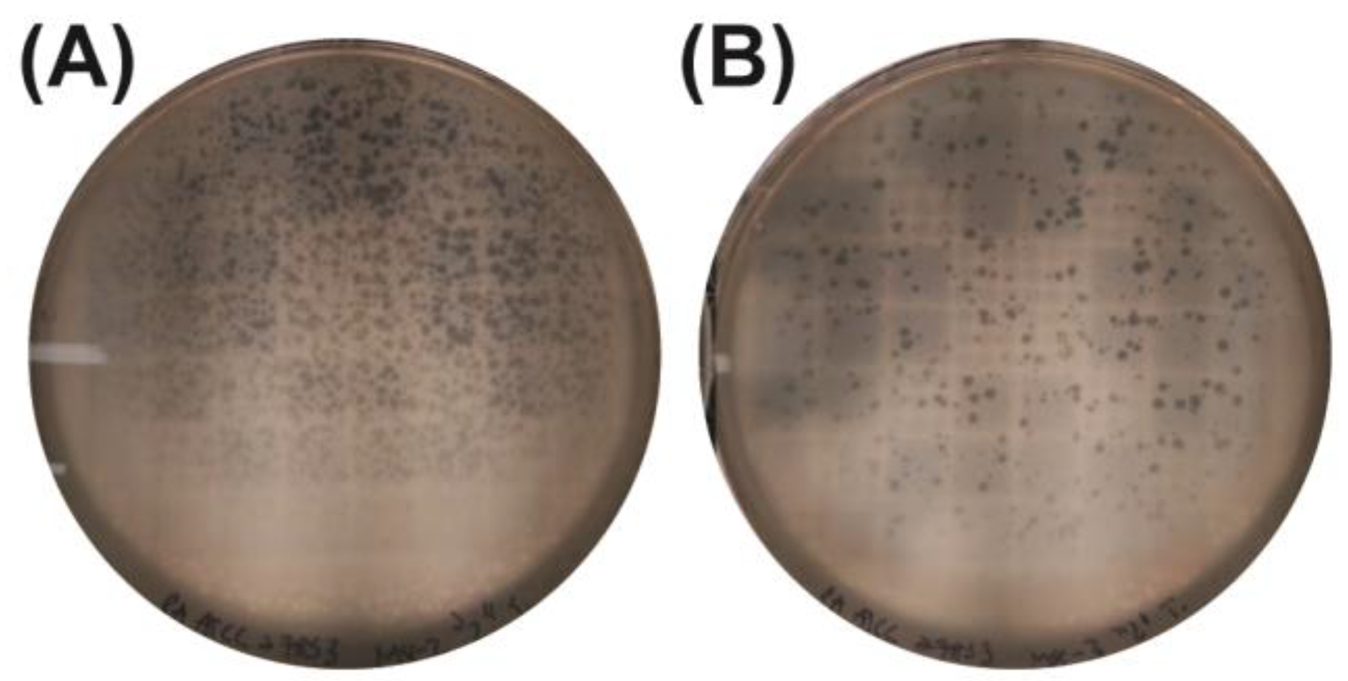 Antibiotics 14 00110 g004