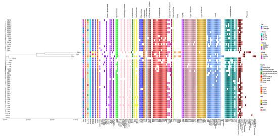 Antibiotics 14 00128 g001