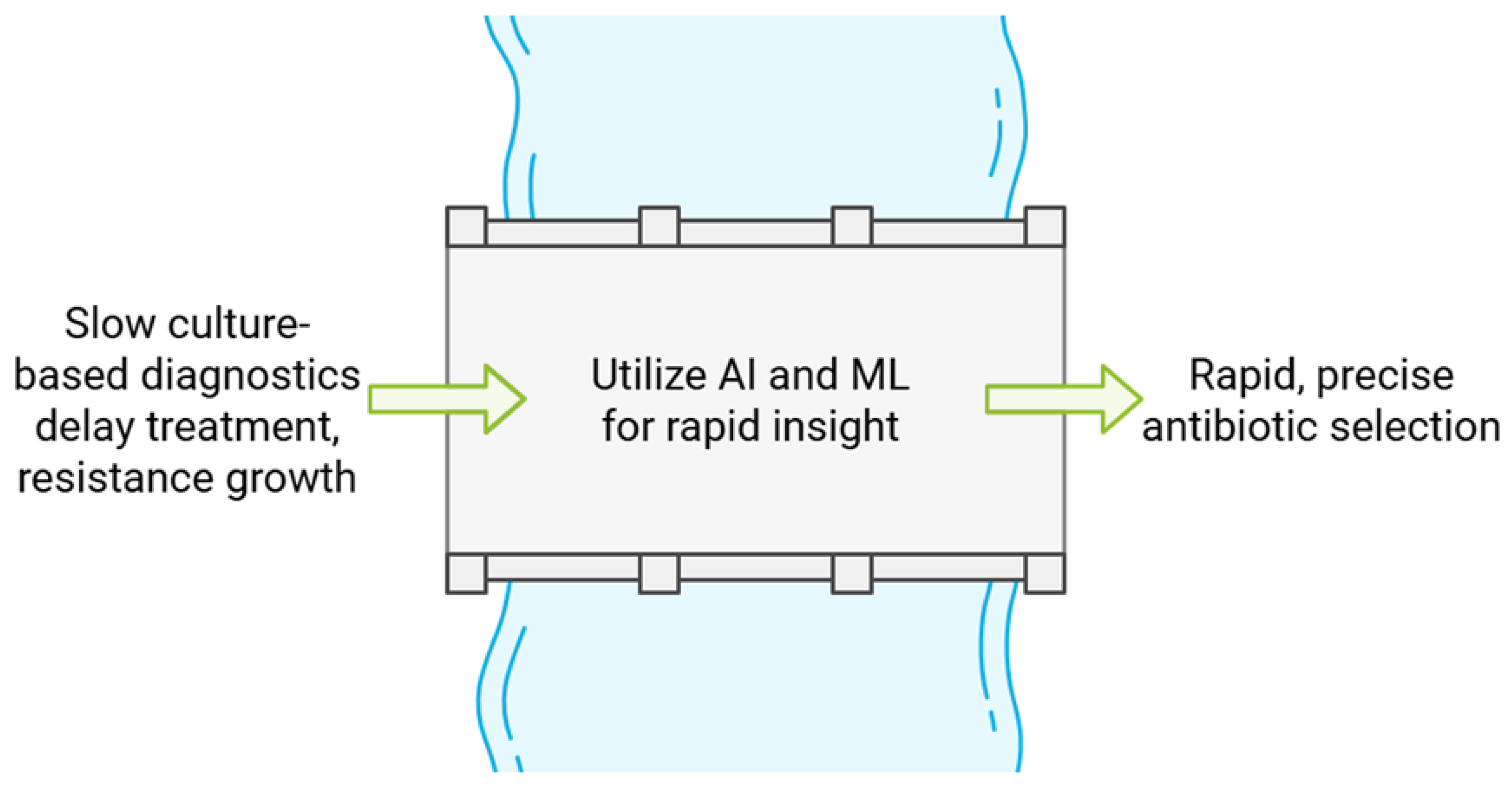 Antibiotics 14 00134 g002