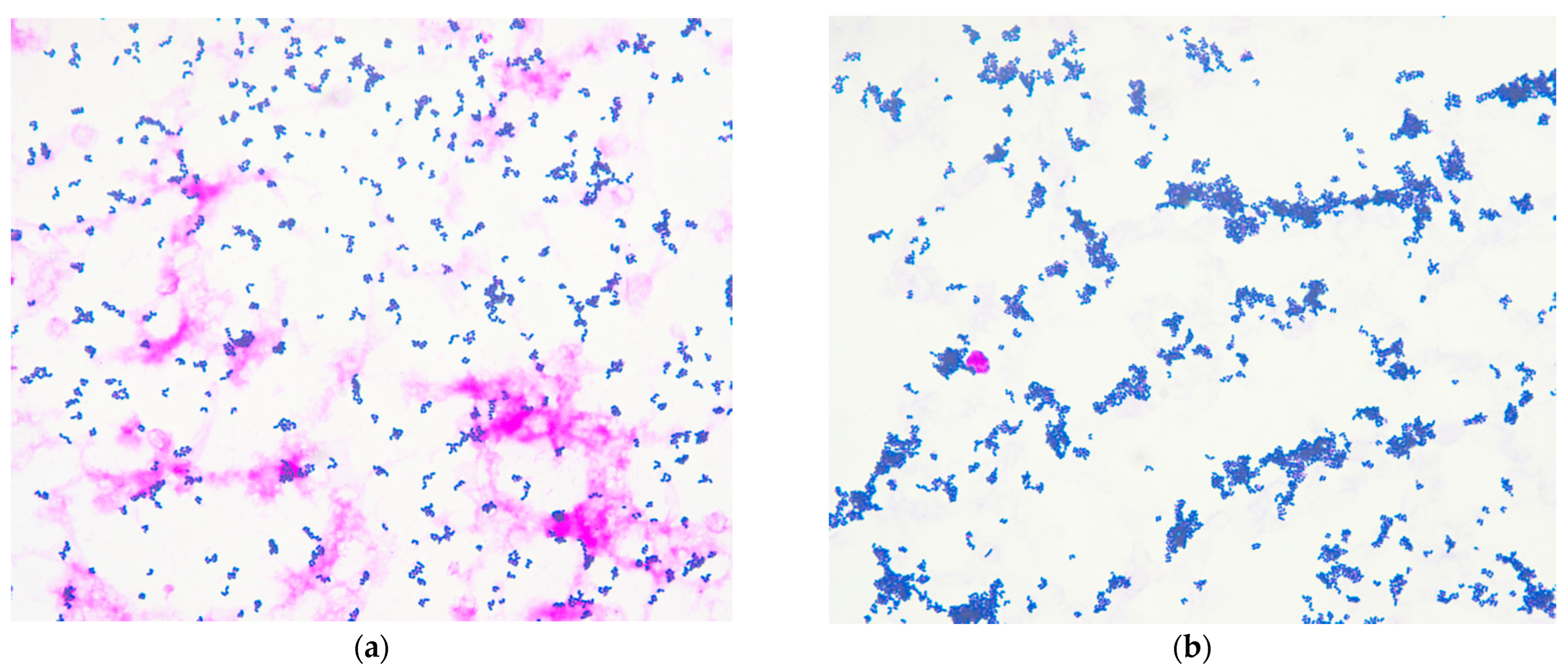 Antibiotics 14 00149 g001