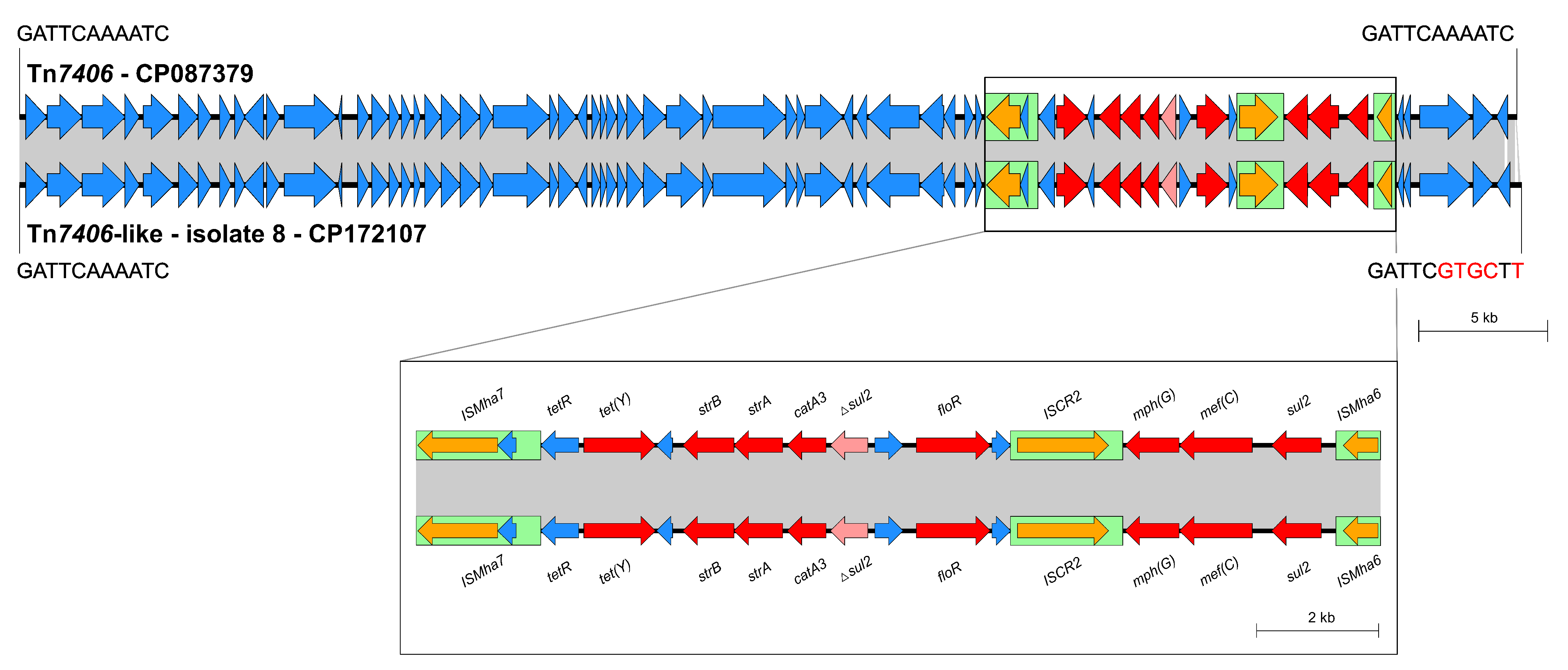 Antibiotics 14 00153 g004