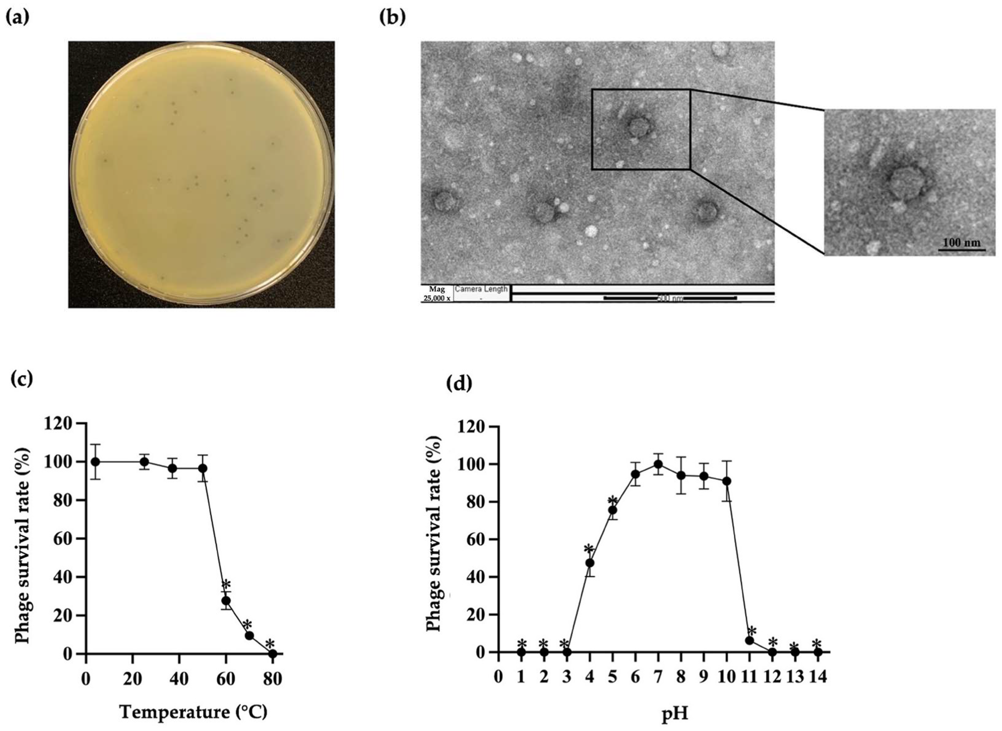 Antibiotics 14 00157 g001 Antibiotics 14 00157 g001