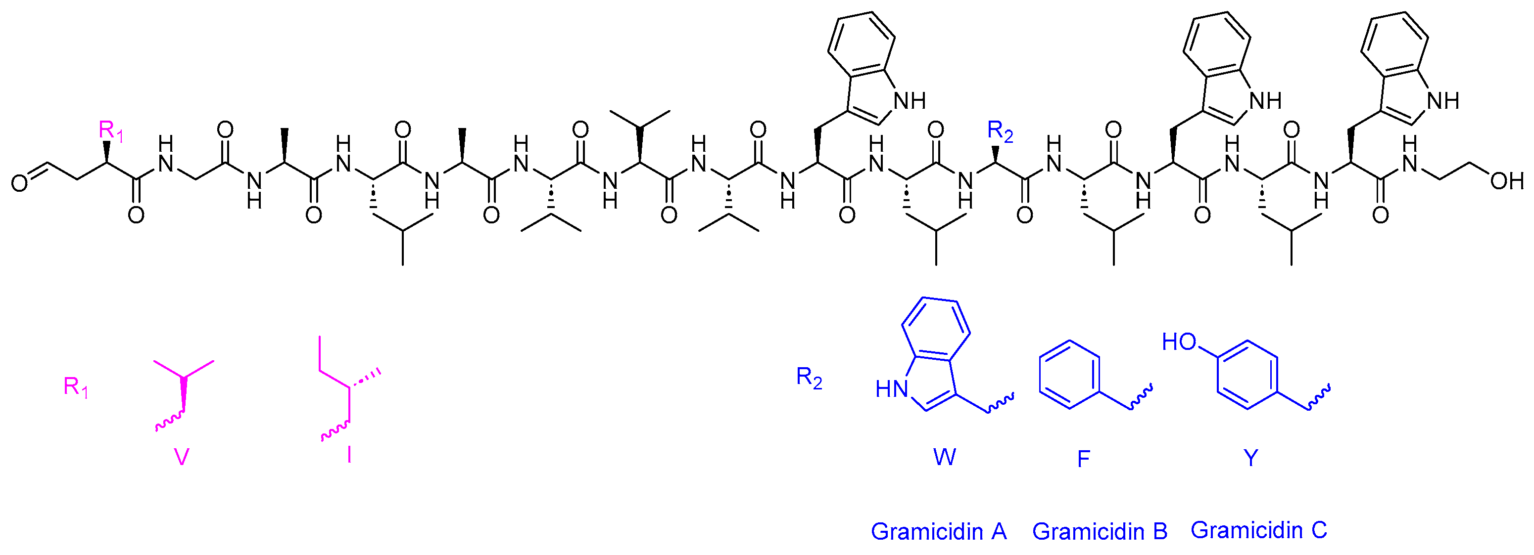 Antibiotics 14 00166 g003