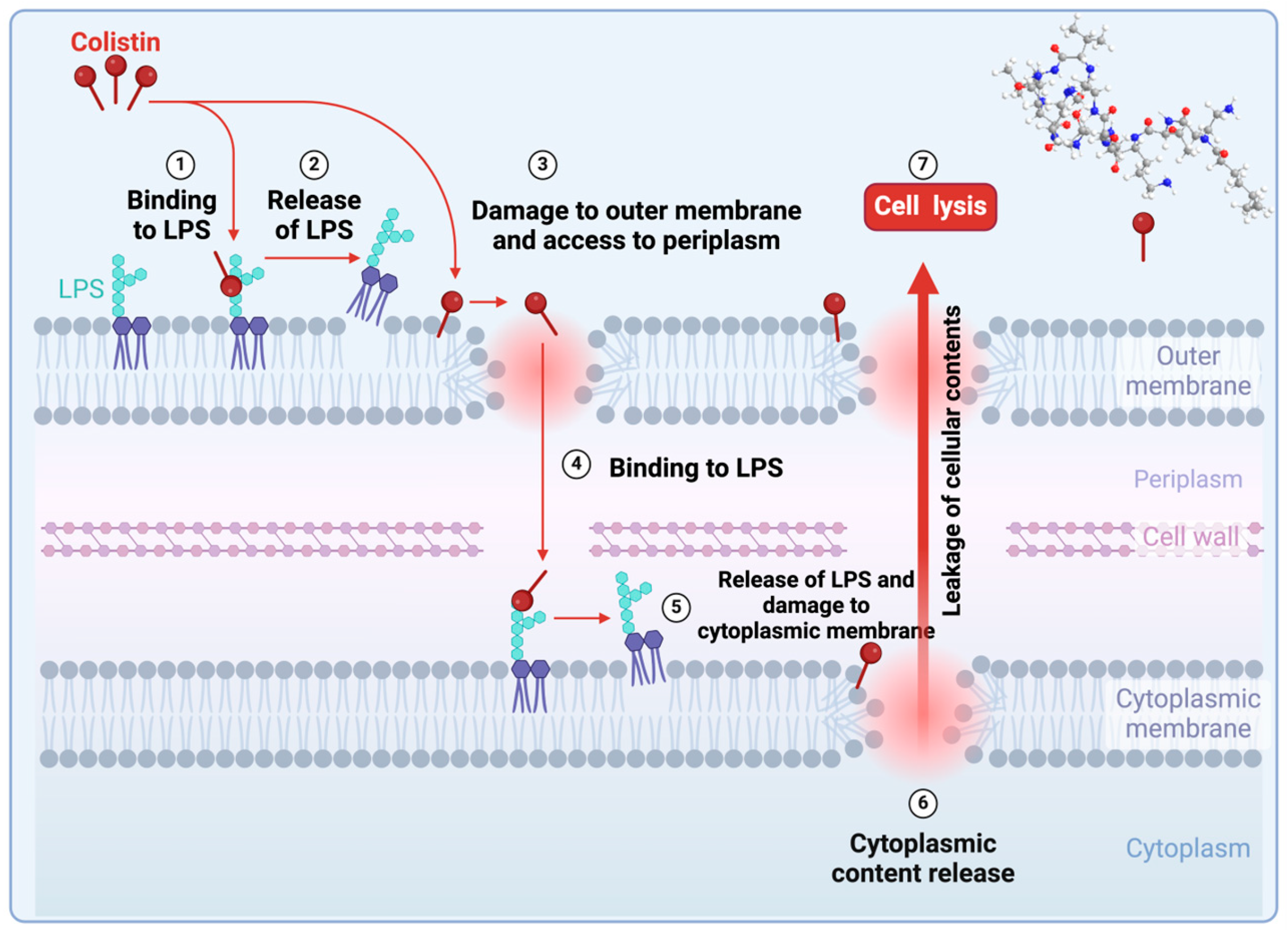 Antibiotics 14 00166 g007