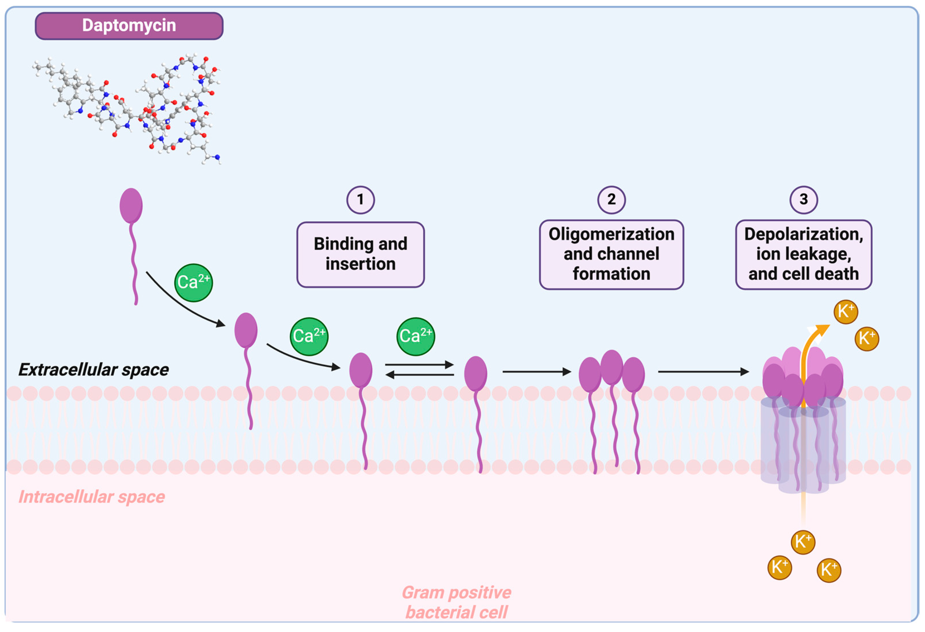 Antibiotics 14 00166 g009