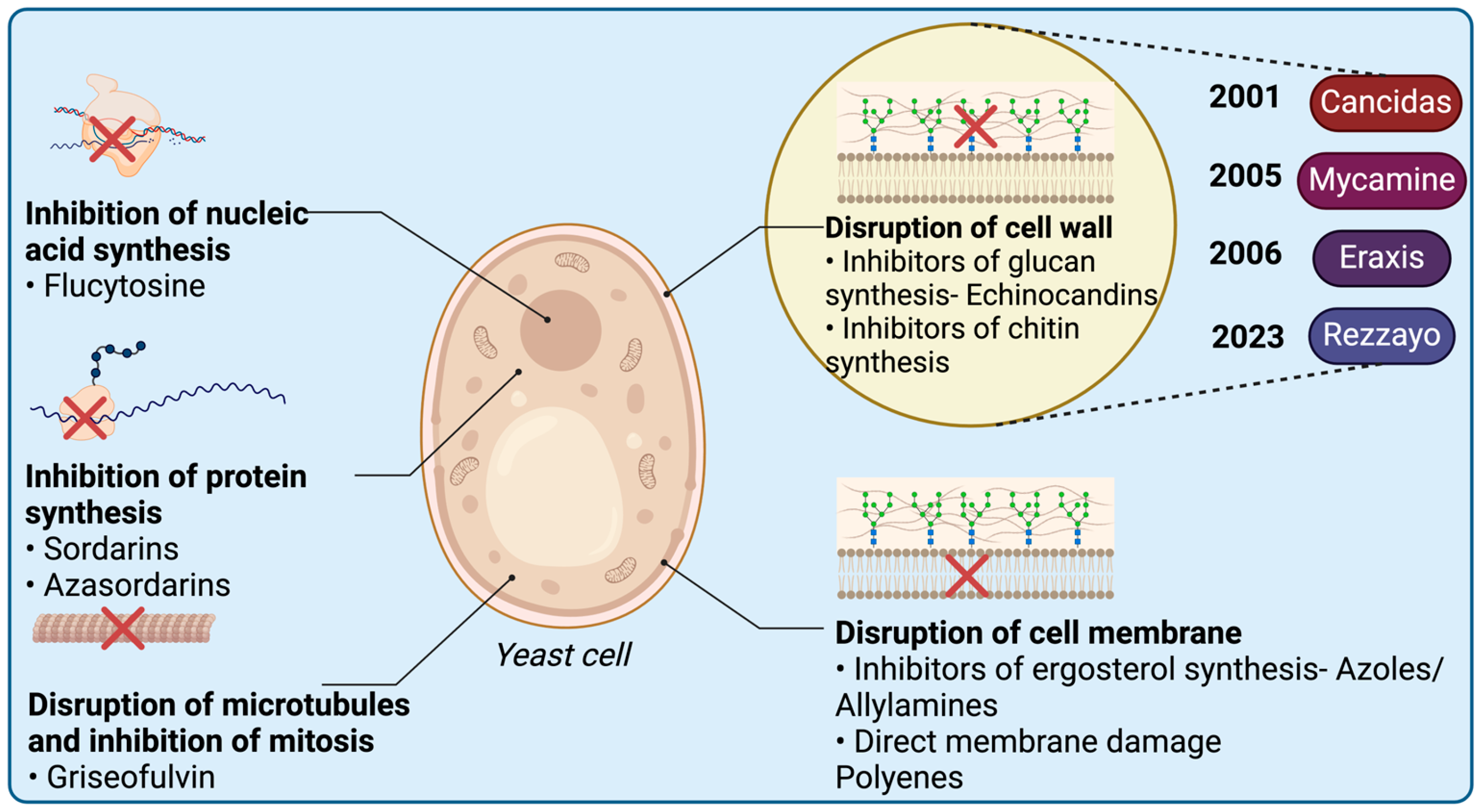 Antibiotics 14 00166 g013