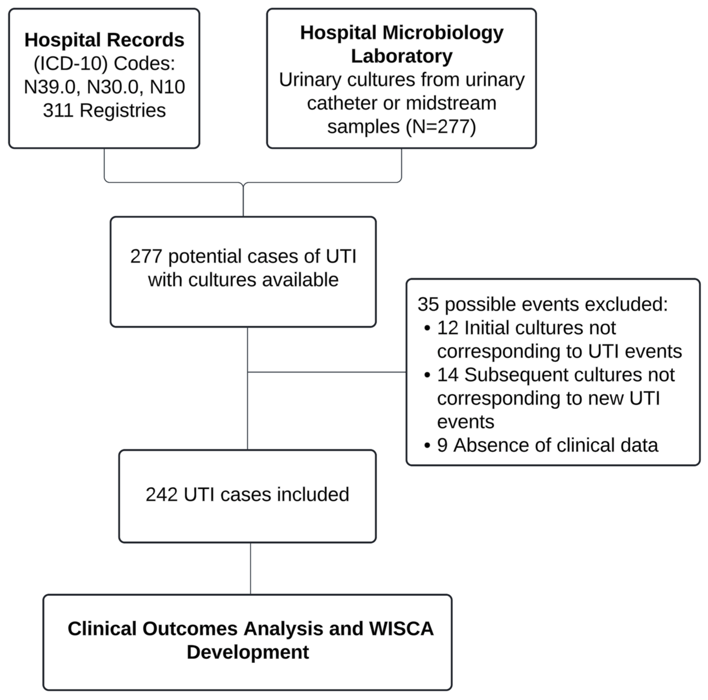 Antibiotics 14 00187 g001
