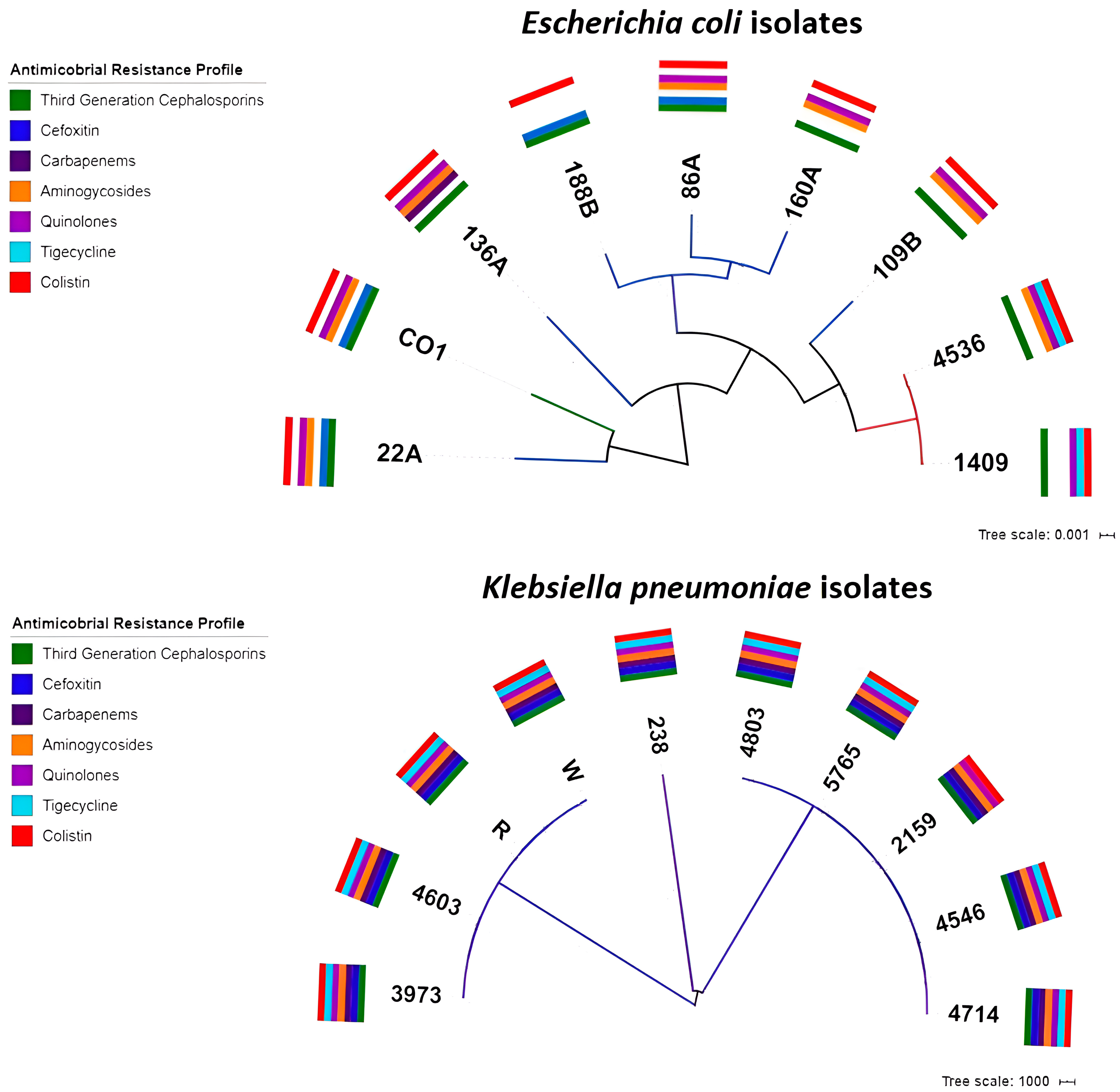 Antibiotics 14 00206 g001