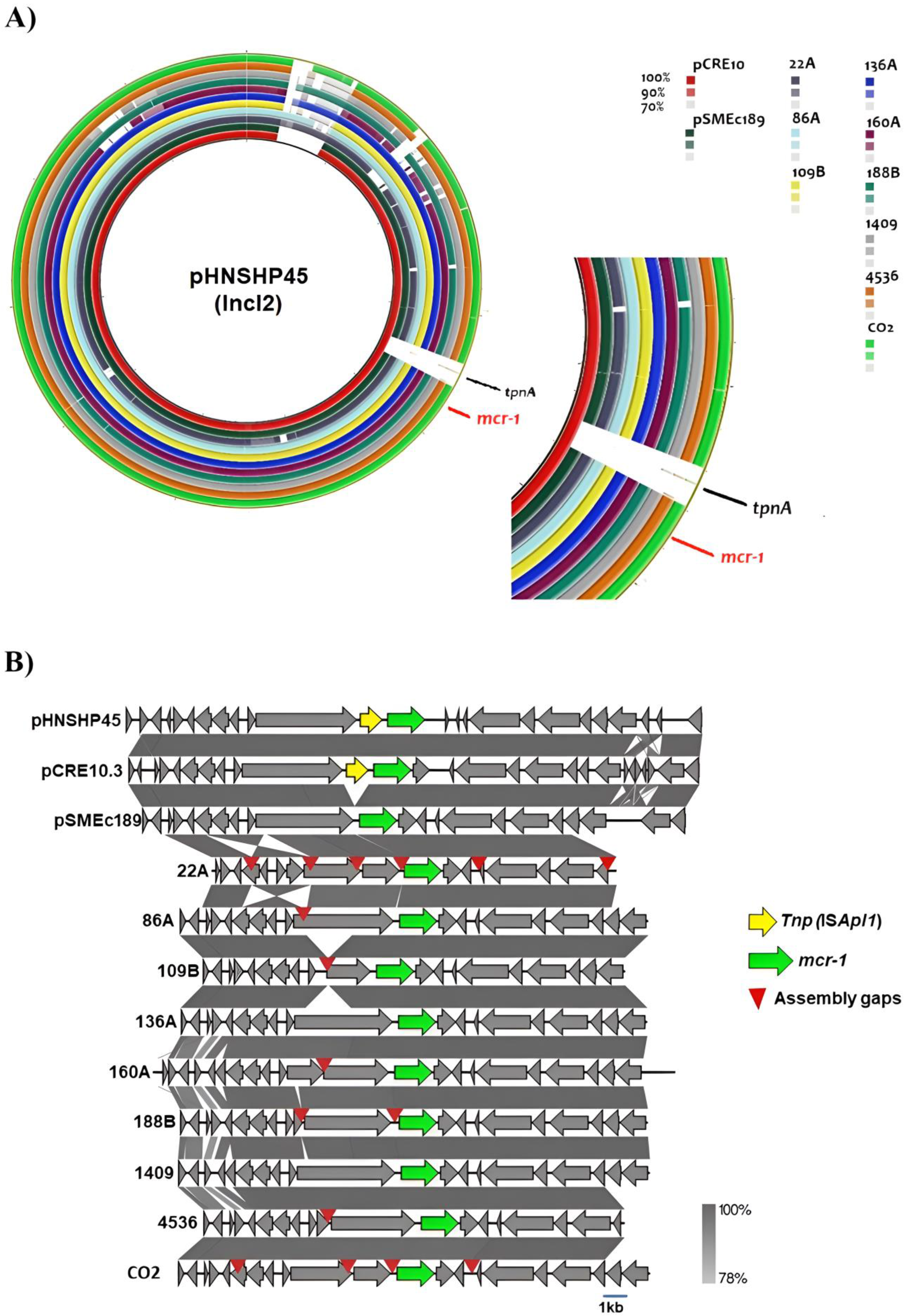 Antibiotics 14 00206 g002