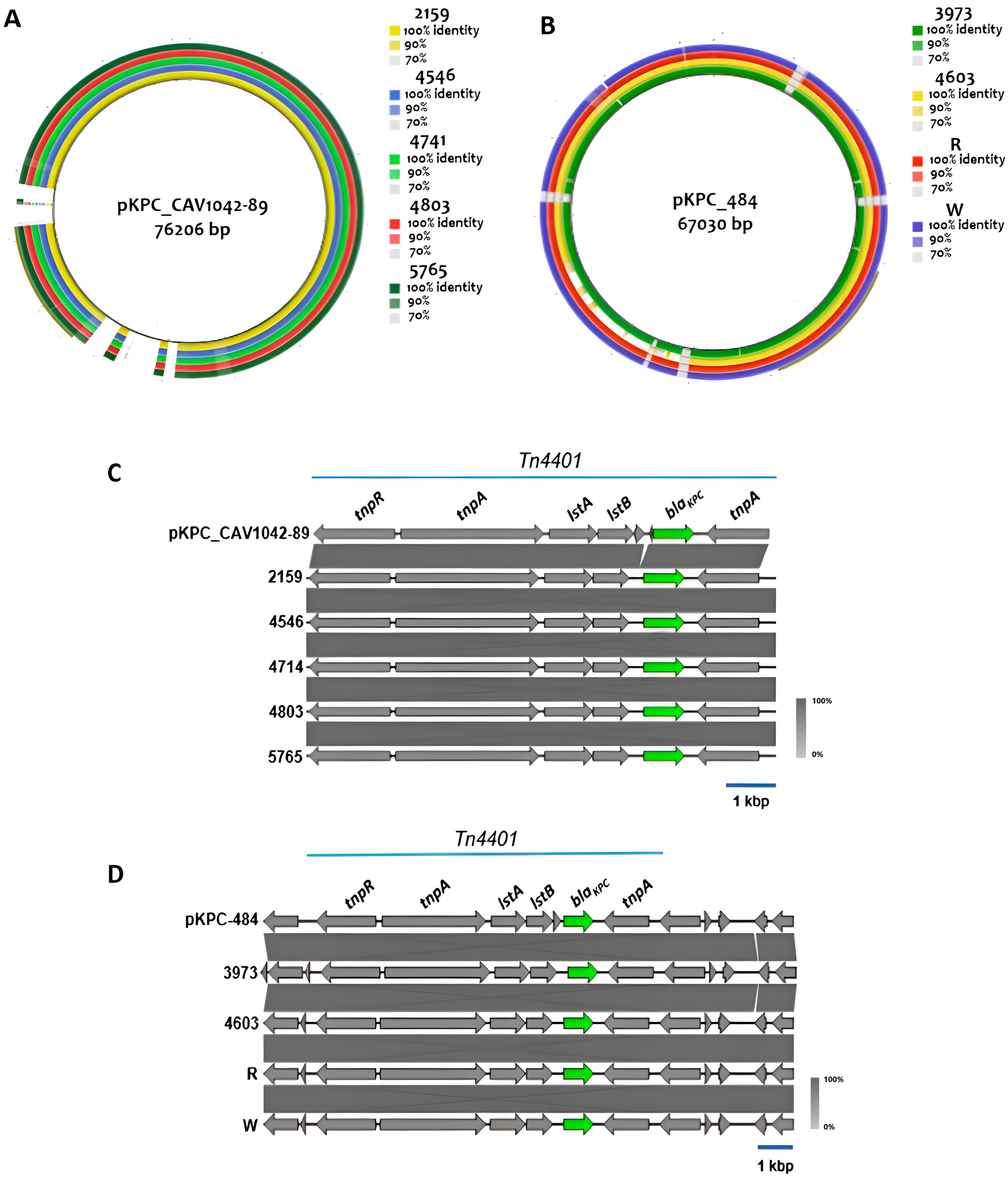 Antibiotics 14 00206 g003