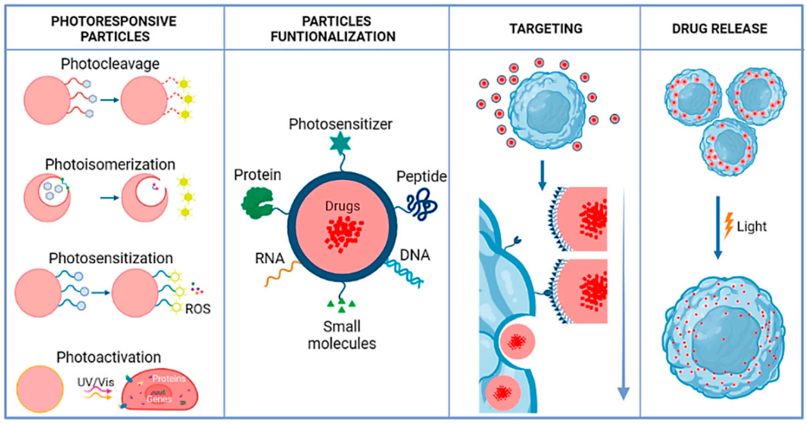 Antibiotics 14 00207 g003