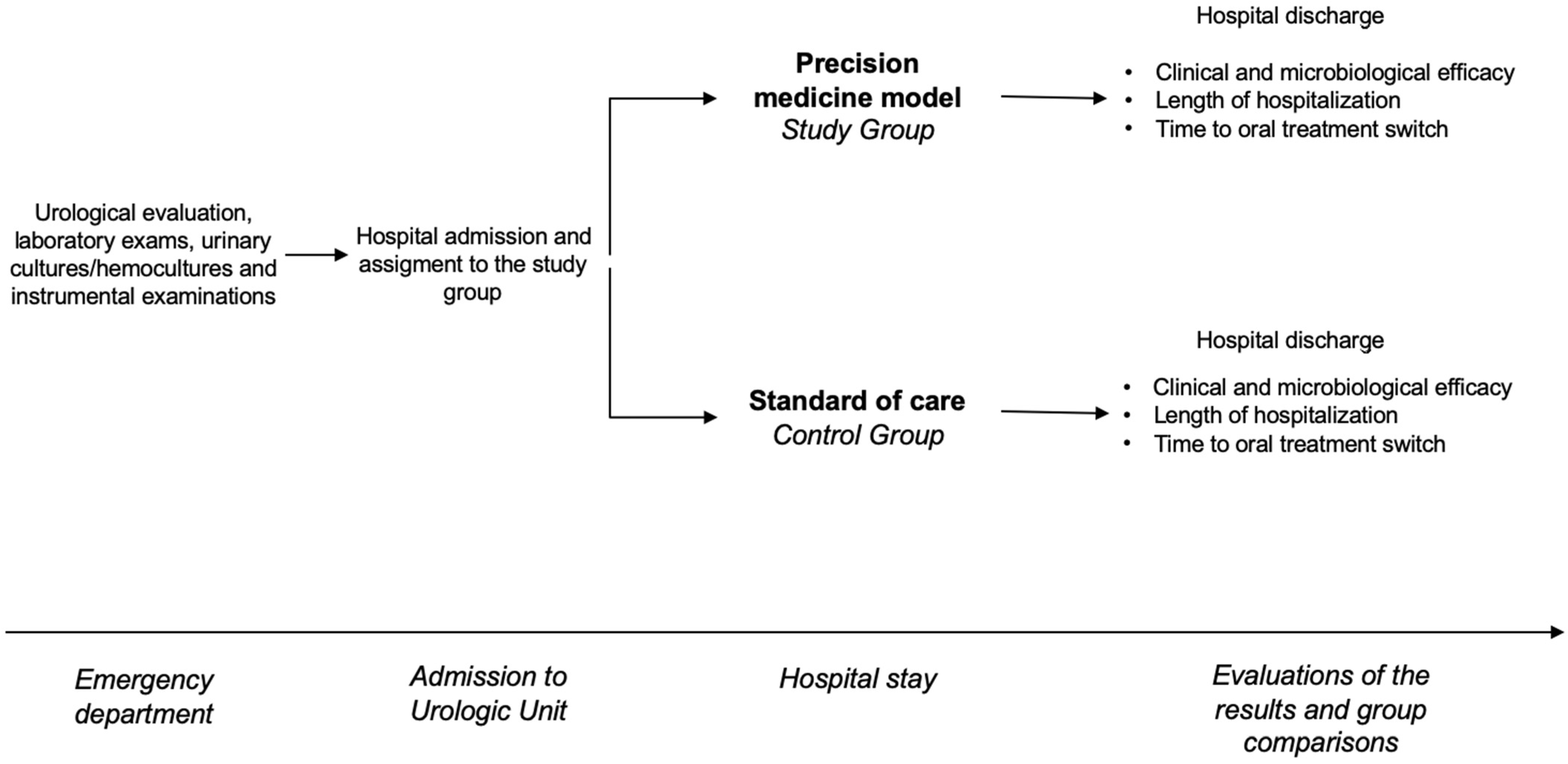 Antibiotics 14 00211 g001