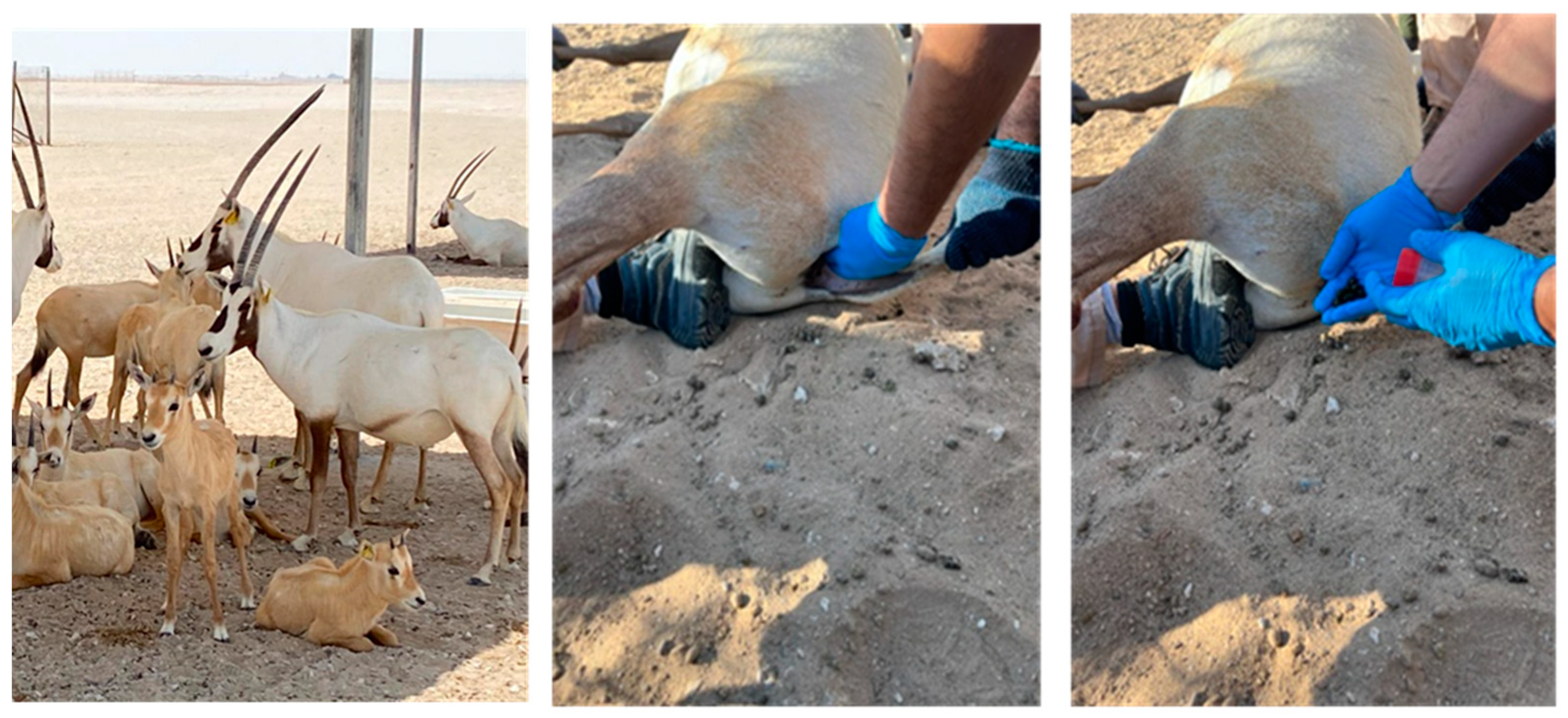 Antibiotics 14 00248 g005