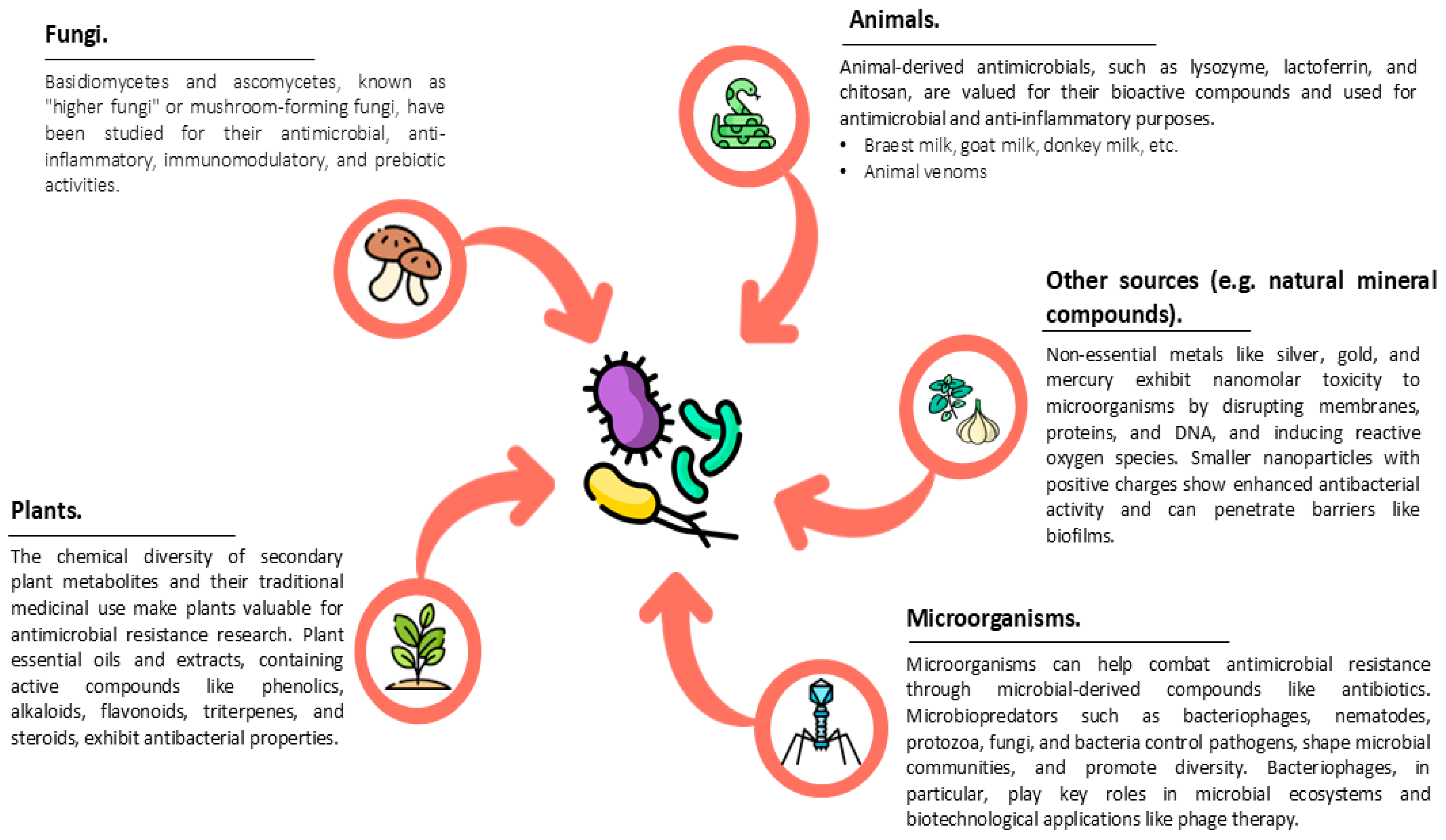 Antibiotics 14 00253 g001