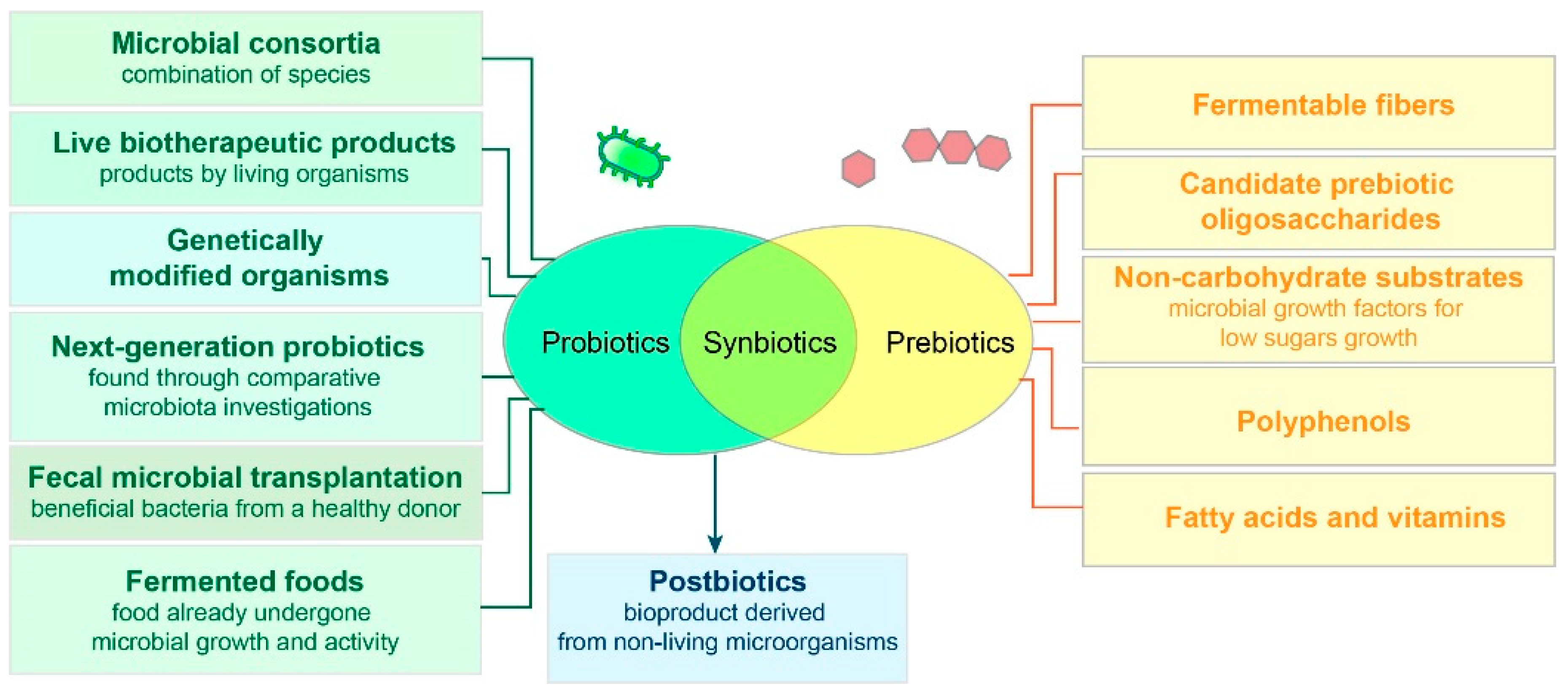 Antibiotics 14 00253 g002
