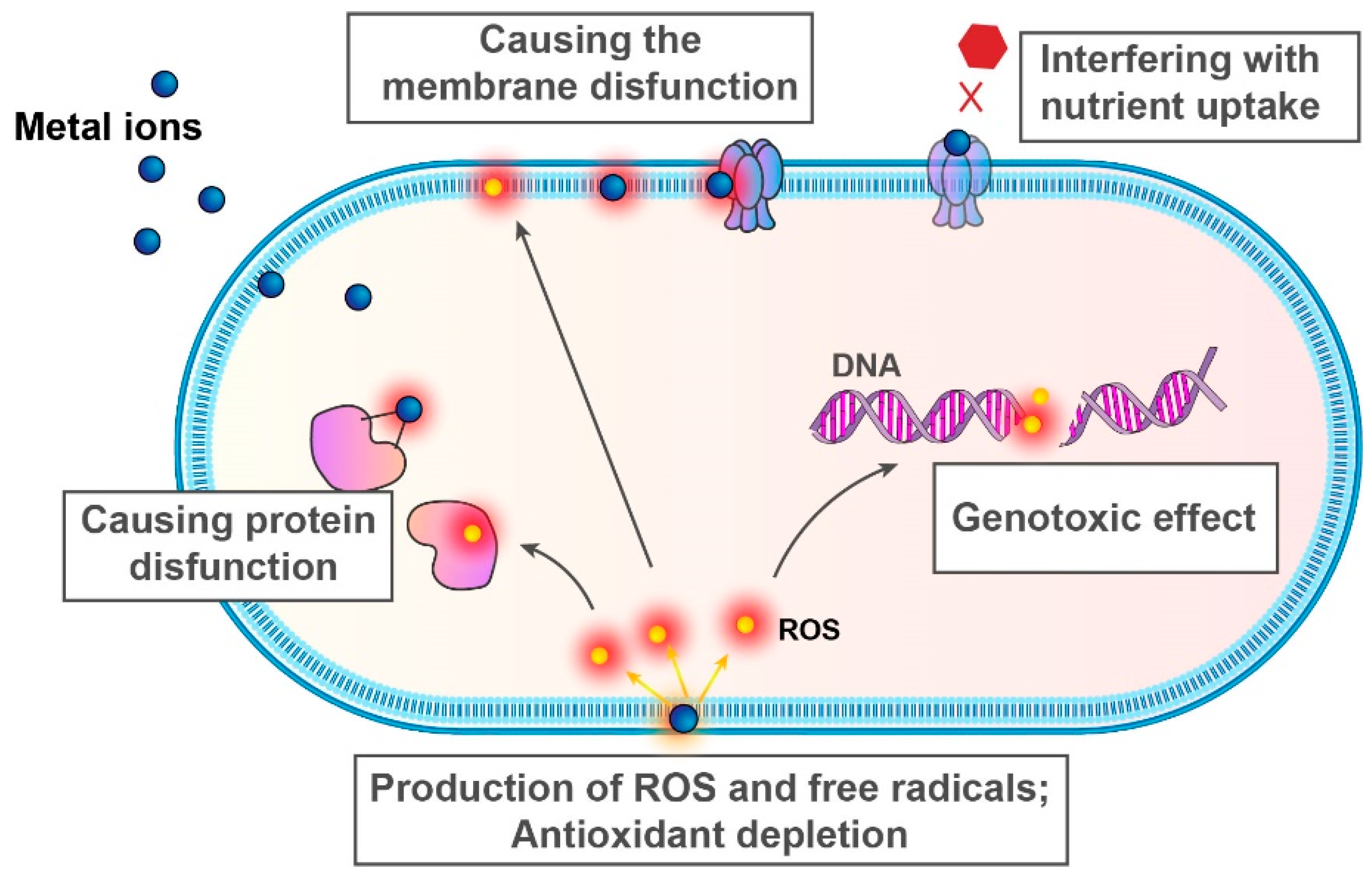 Antibiotics 14 00253 g005
