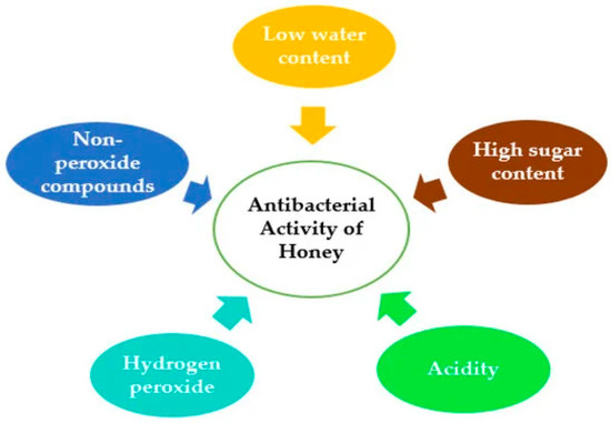 Antibiotics 14 00255 g002