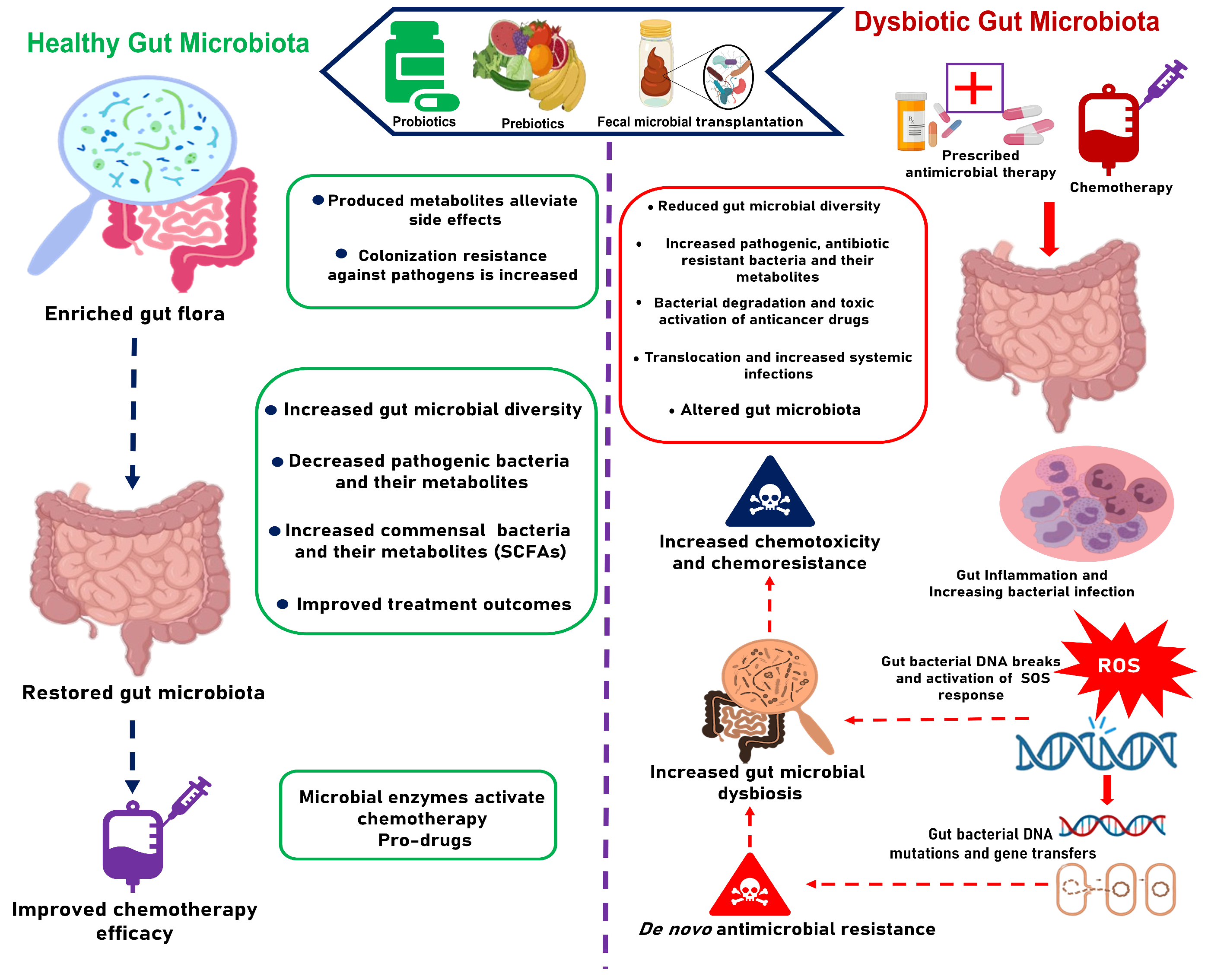Antibiotics 14 00264 g001
