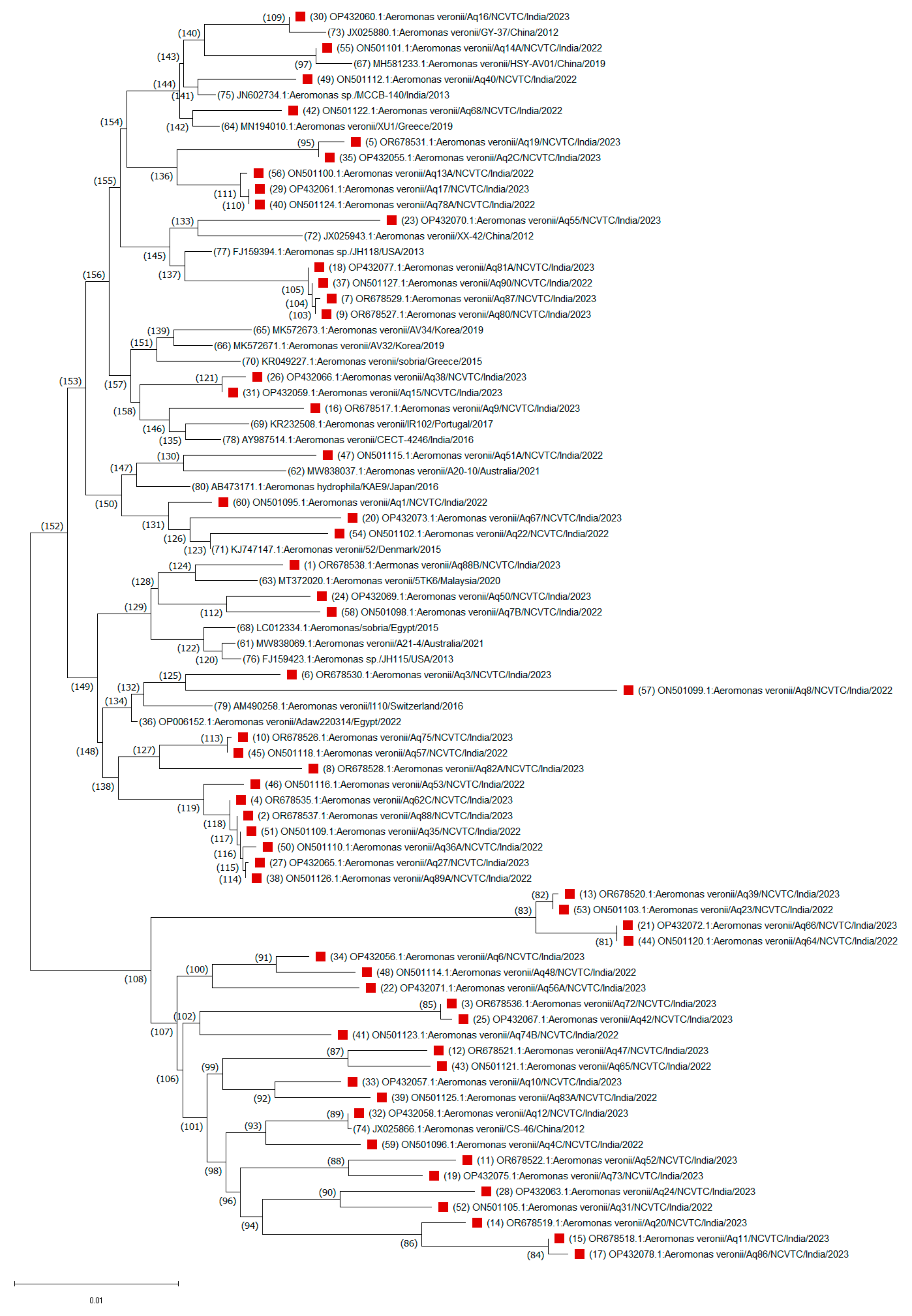 Antibiotics 14 00294 g002
