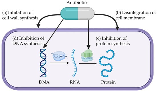 Antibiotics 14 00301 g002