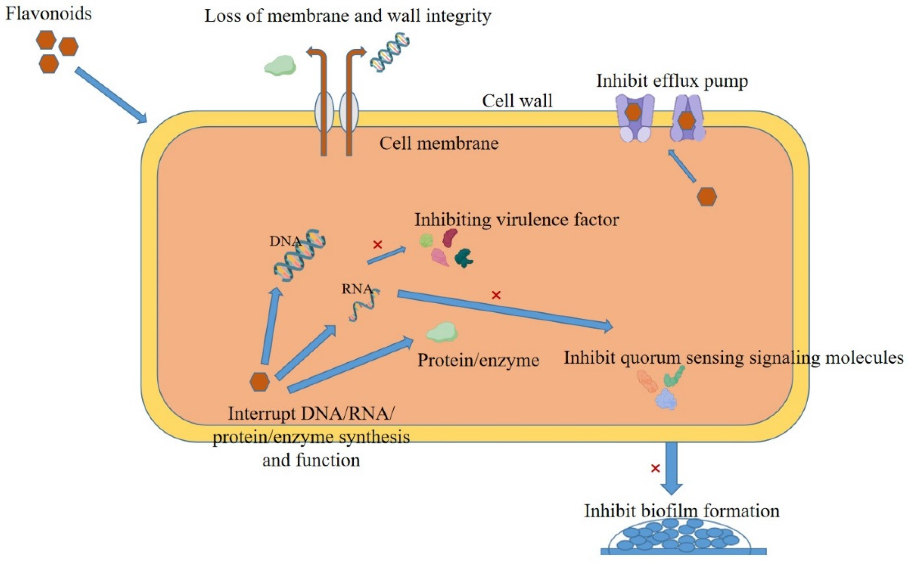 Antibiotics 14 00334 g002 Antibiotics 14 00334 g002