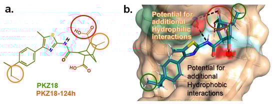 Antibiotics 14 00345 g002
