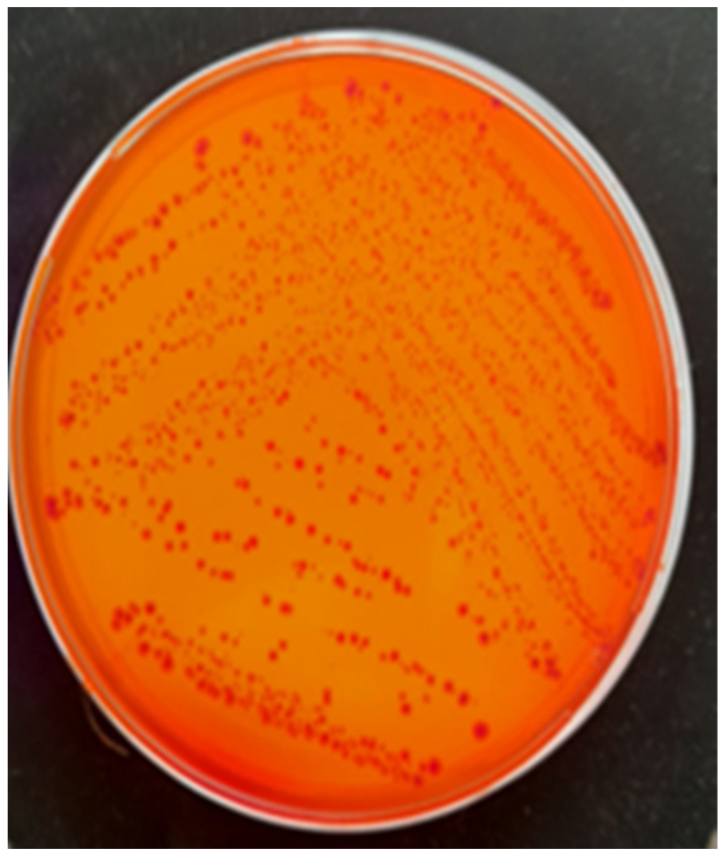 Antibiotics 14 00354 g003 Antibiotics 14 00354 g003