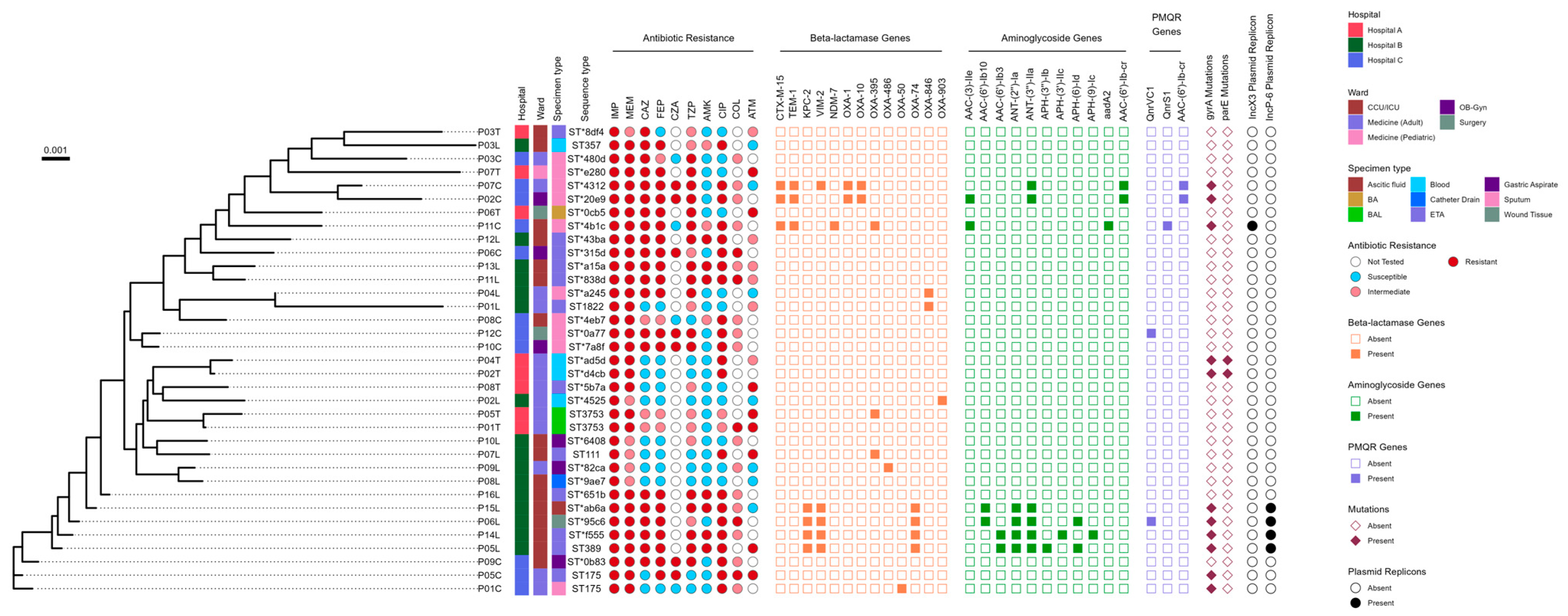 Antibiotics 14 00362 g003 Antibiotics 14 00362 g003