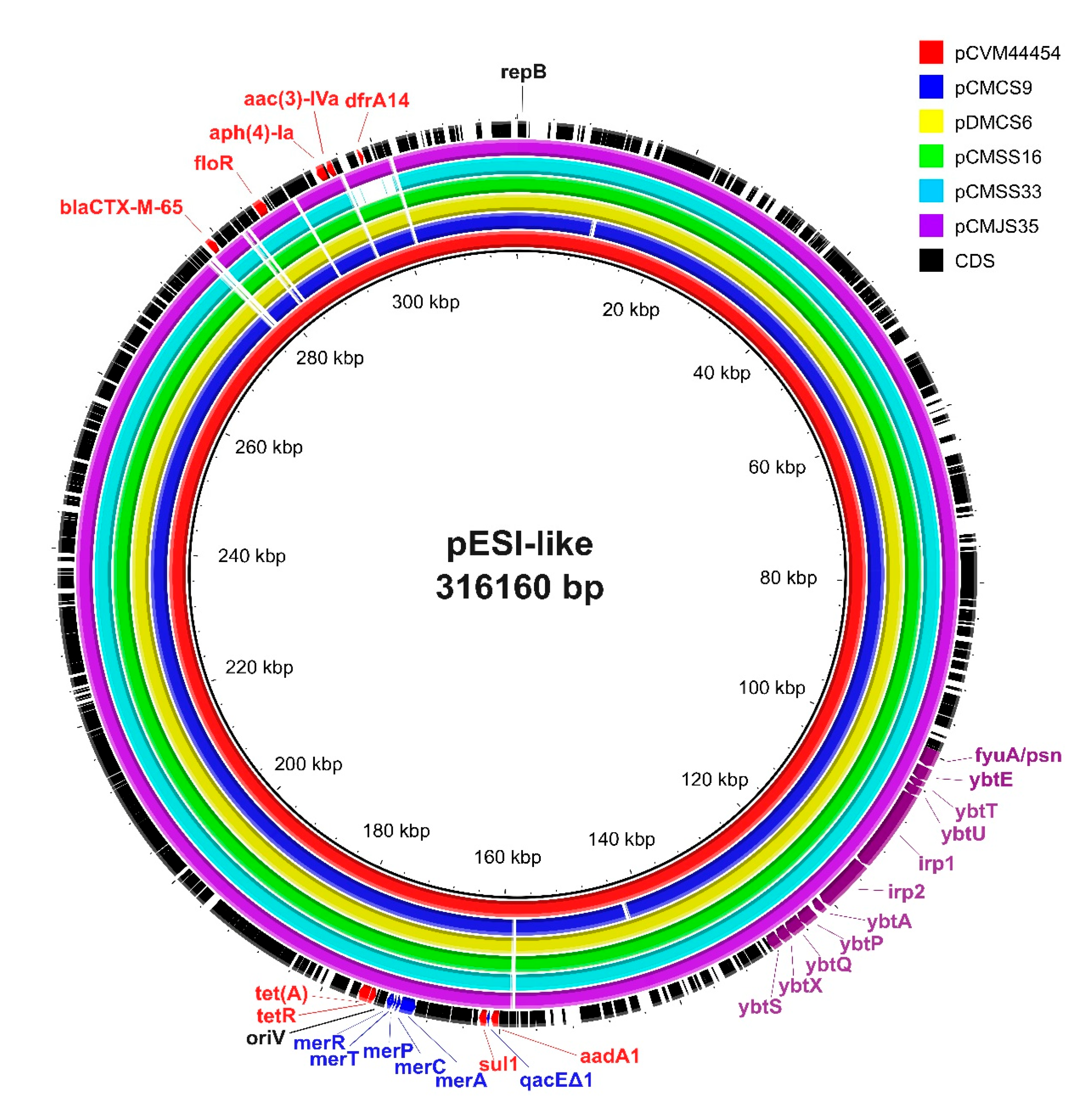 Antibiotics 14 00366 g002