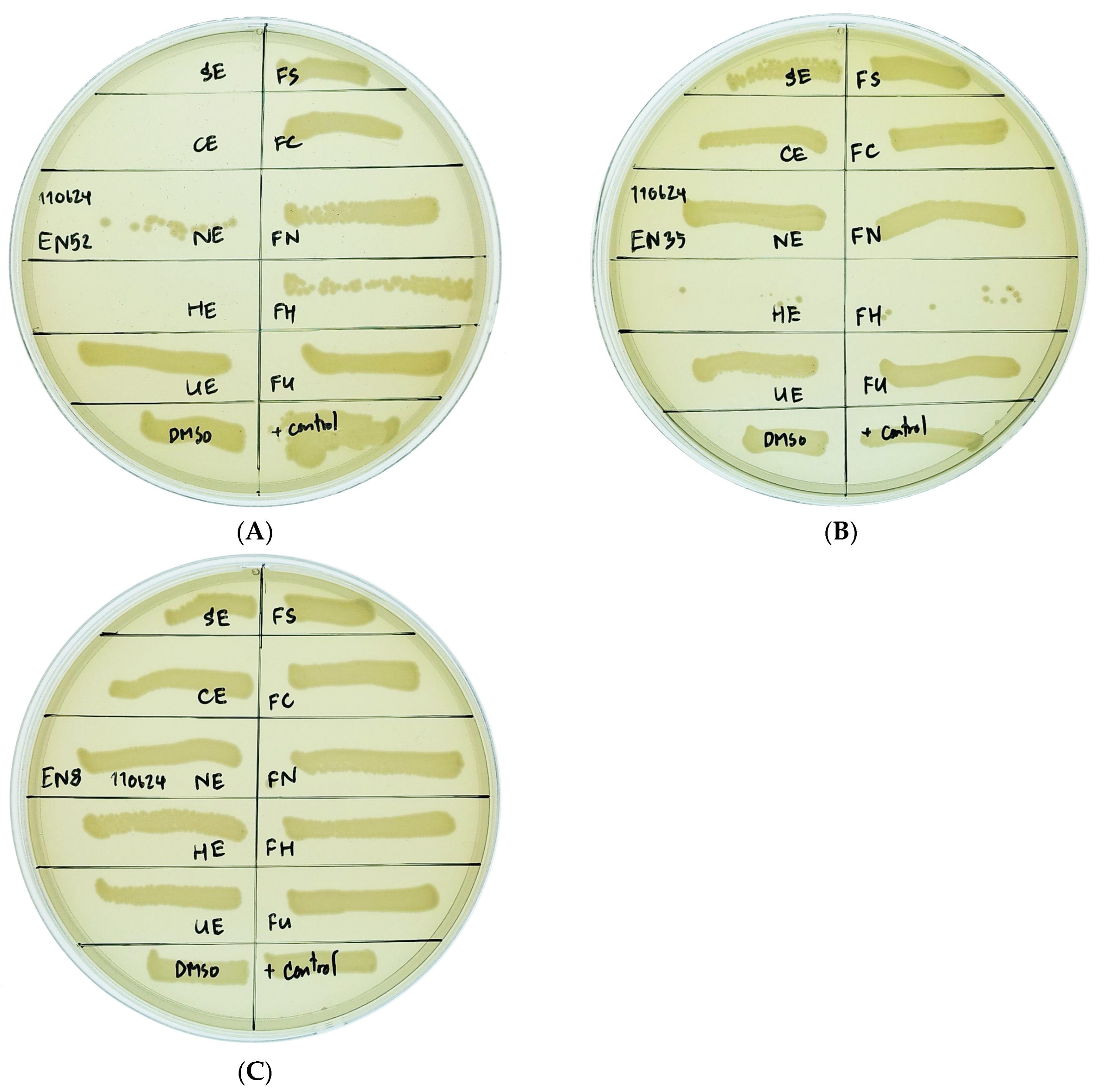 Antibiotics 14 00377 g002