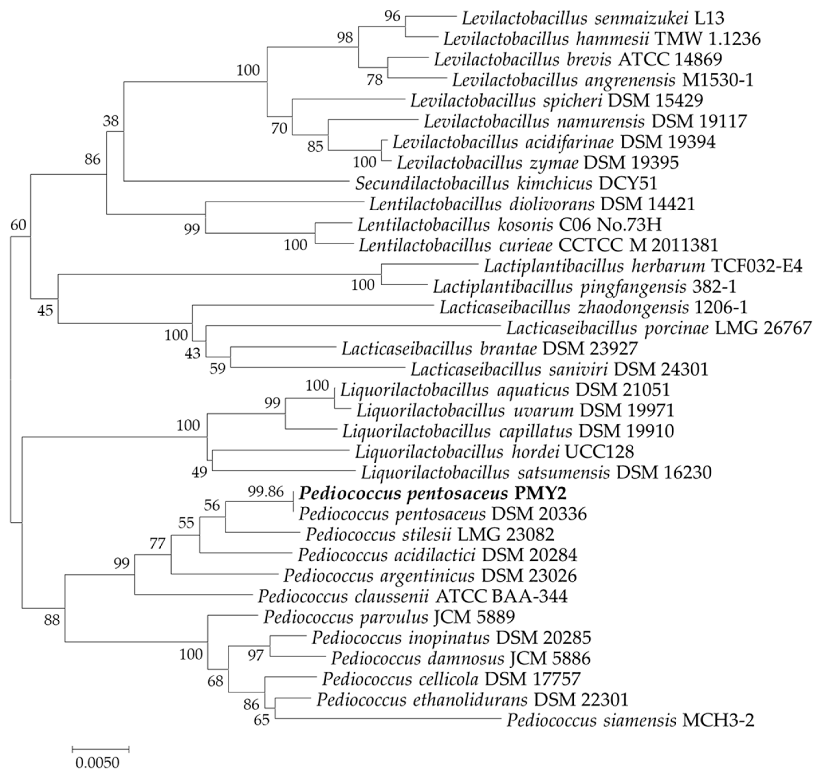 Antibiotics 14 00389 g001