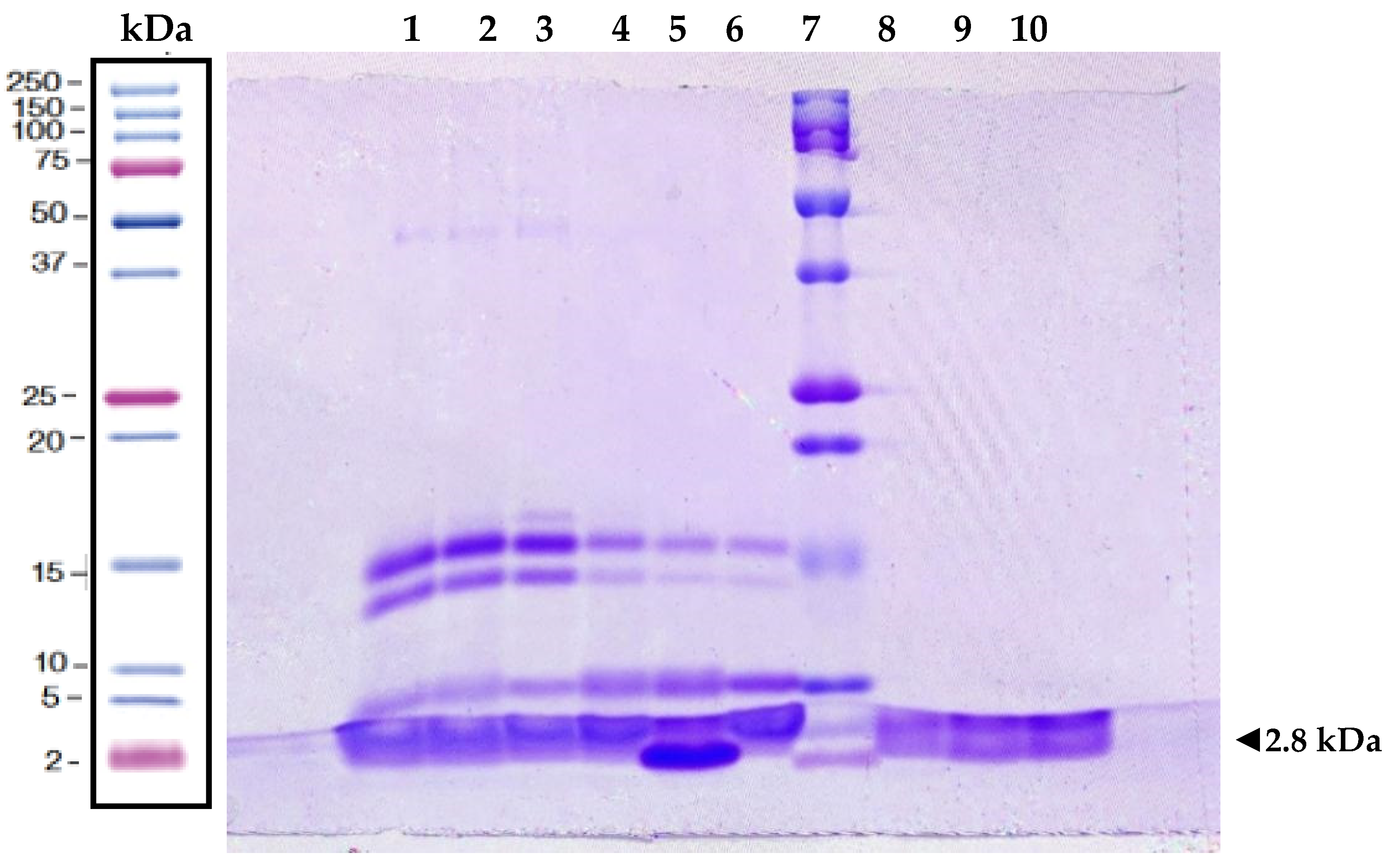 Antibiotics 14 00403 g001