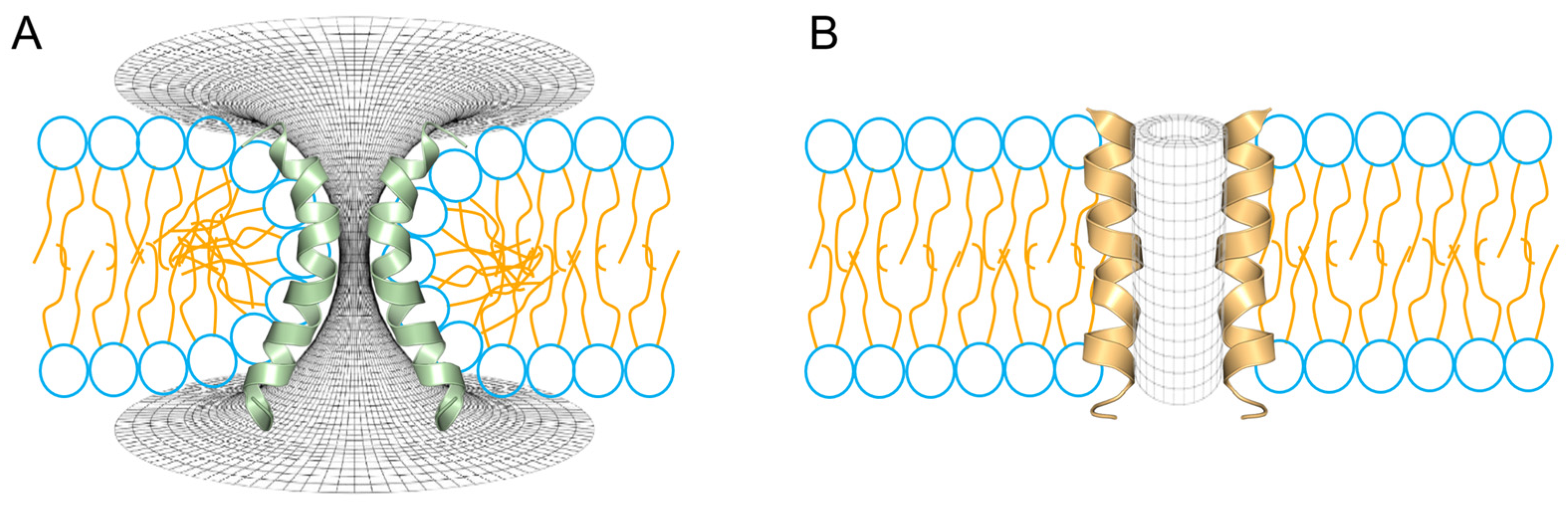Antibiotics 14 00422 g004 Antibiotics 14 00422 g004