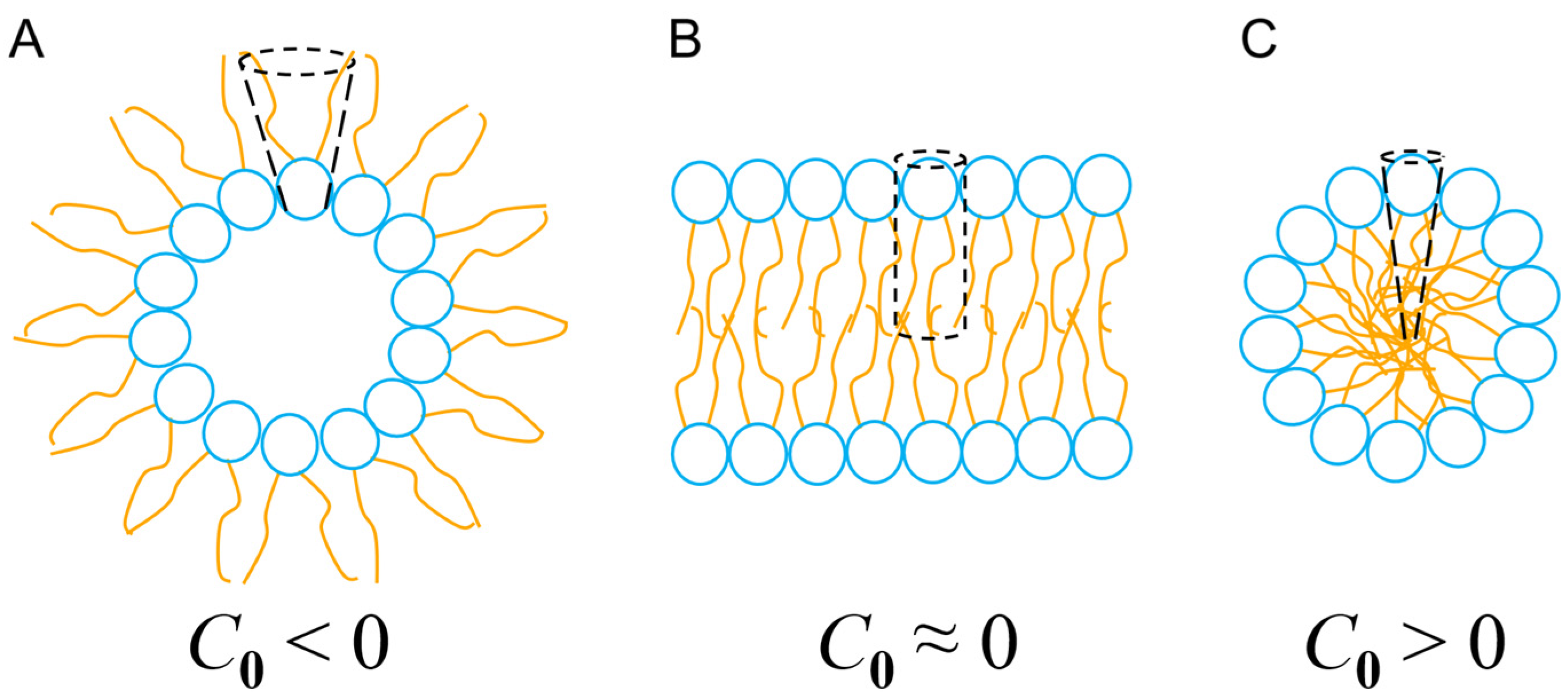 Antibiotics 14 00422 g005 Antibiotics 14 00422 g005