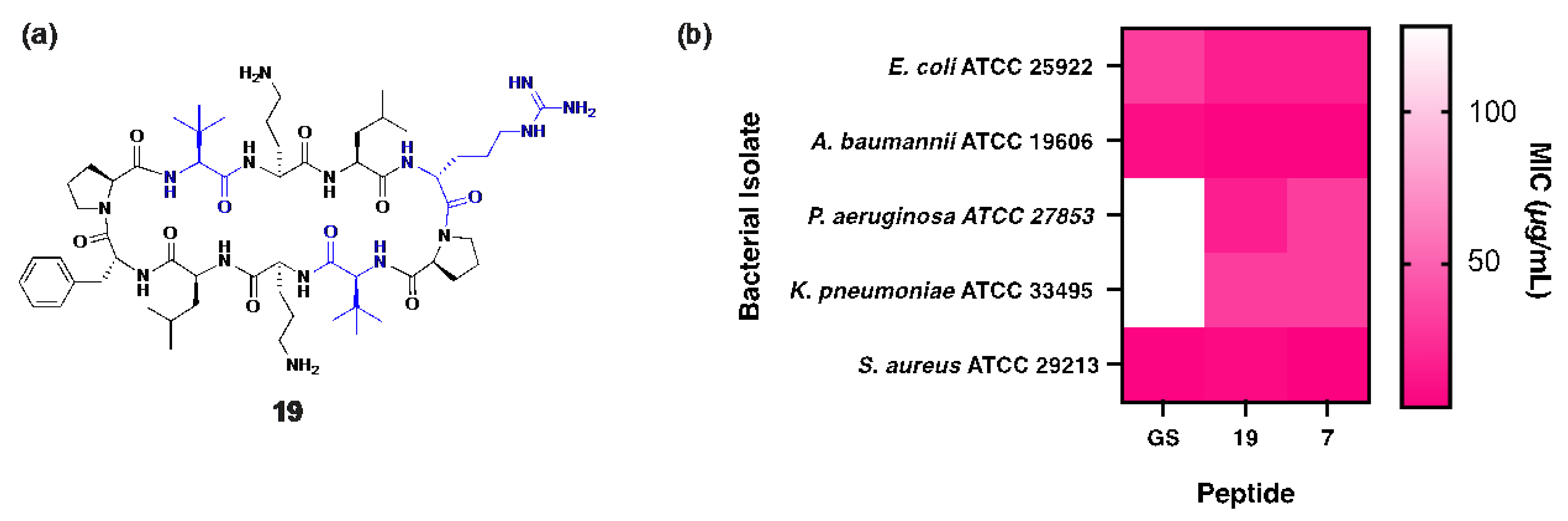 Antibiotics 14 00423 g005