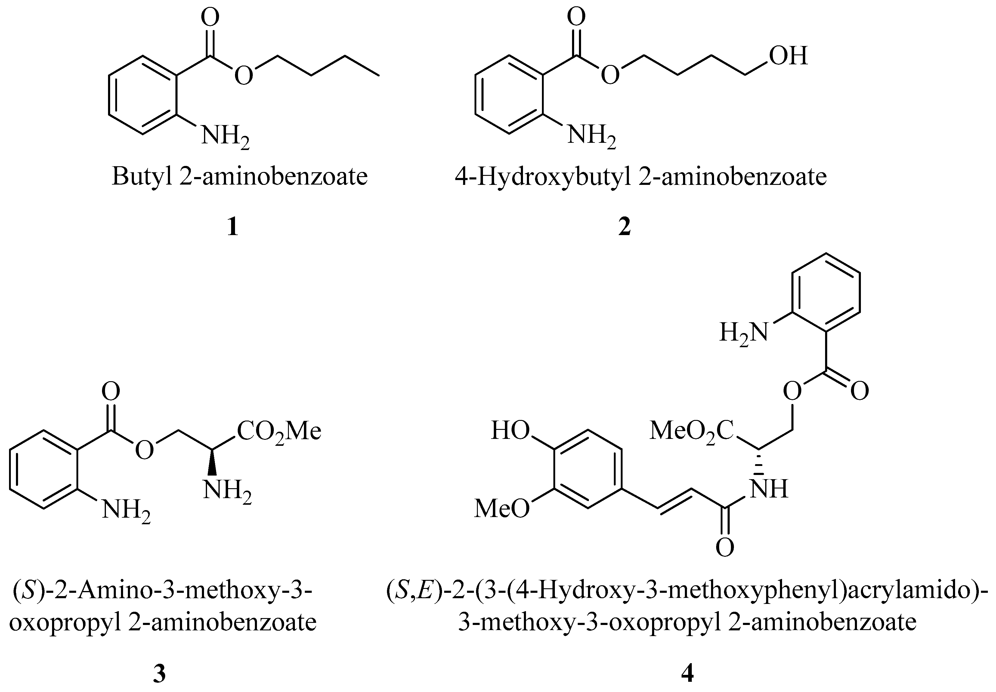 Antibiotics 14 00432 g001