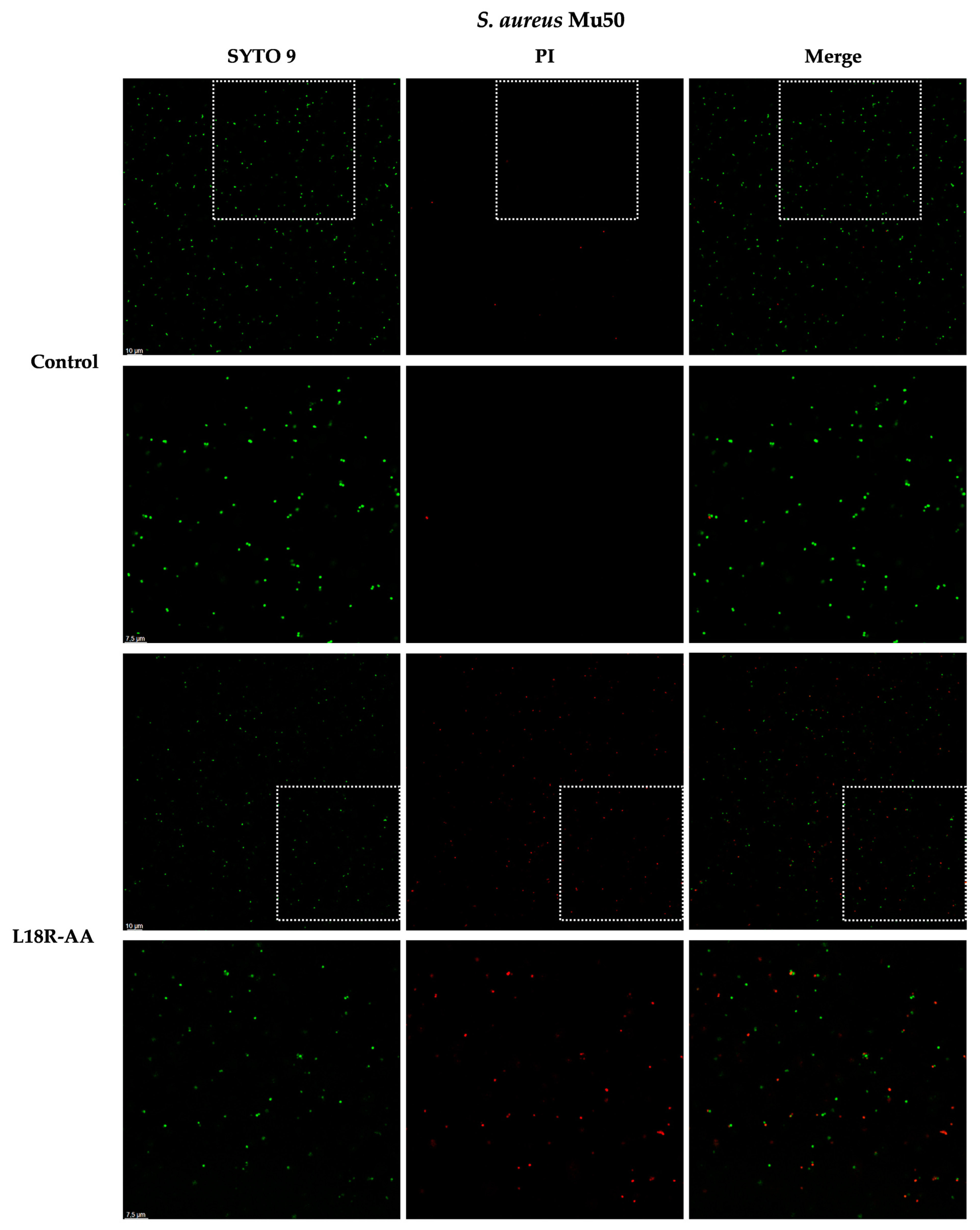 Antibiotics 14 00437 g004 Antibiotics 14 00437 g004