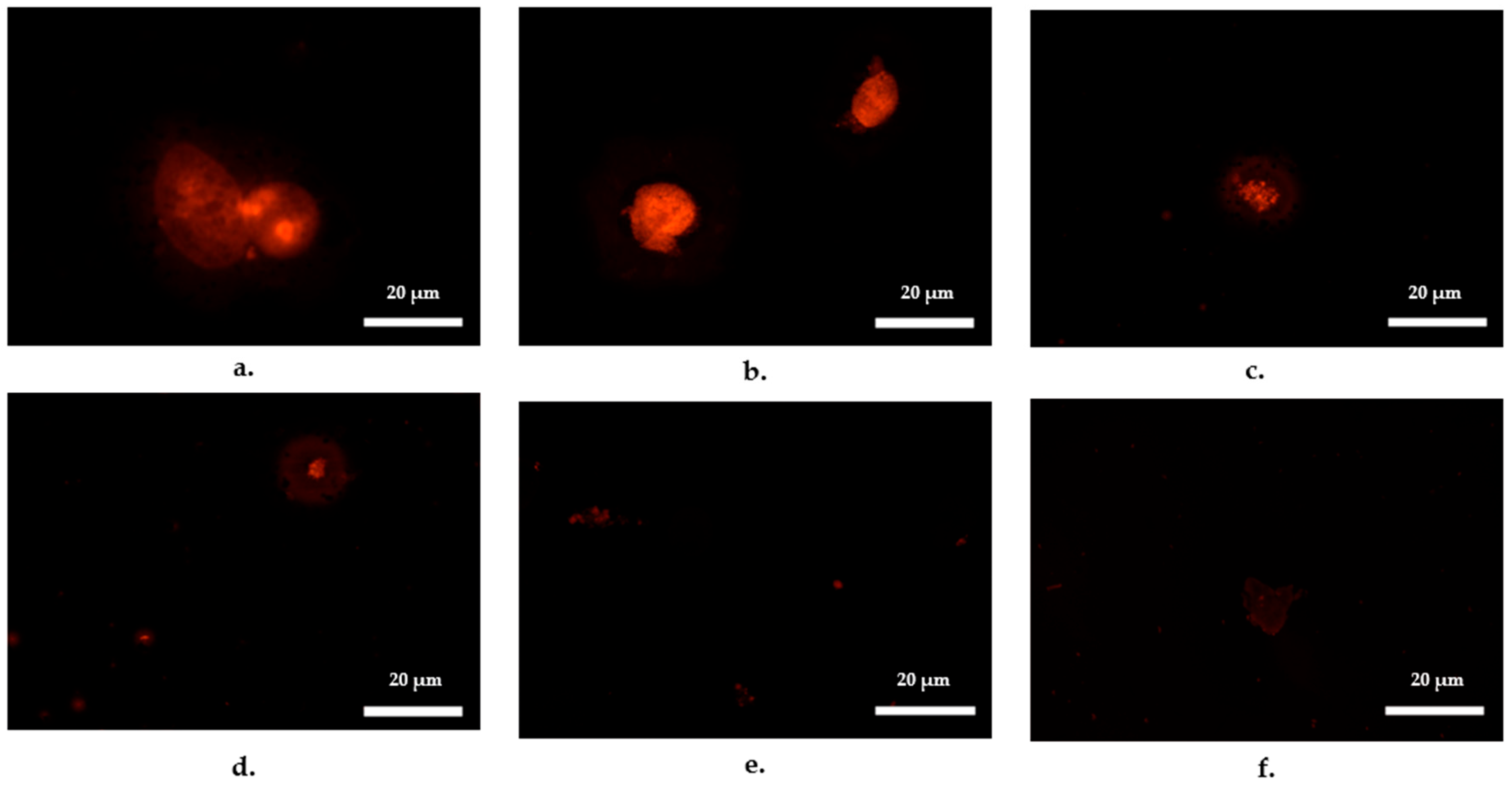 Antibiotics 14 00448 g002