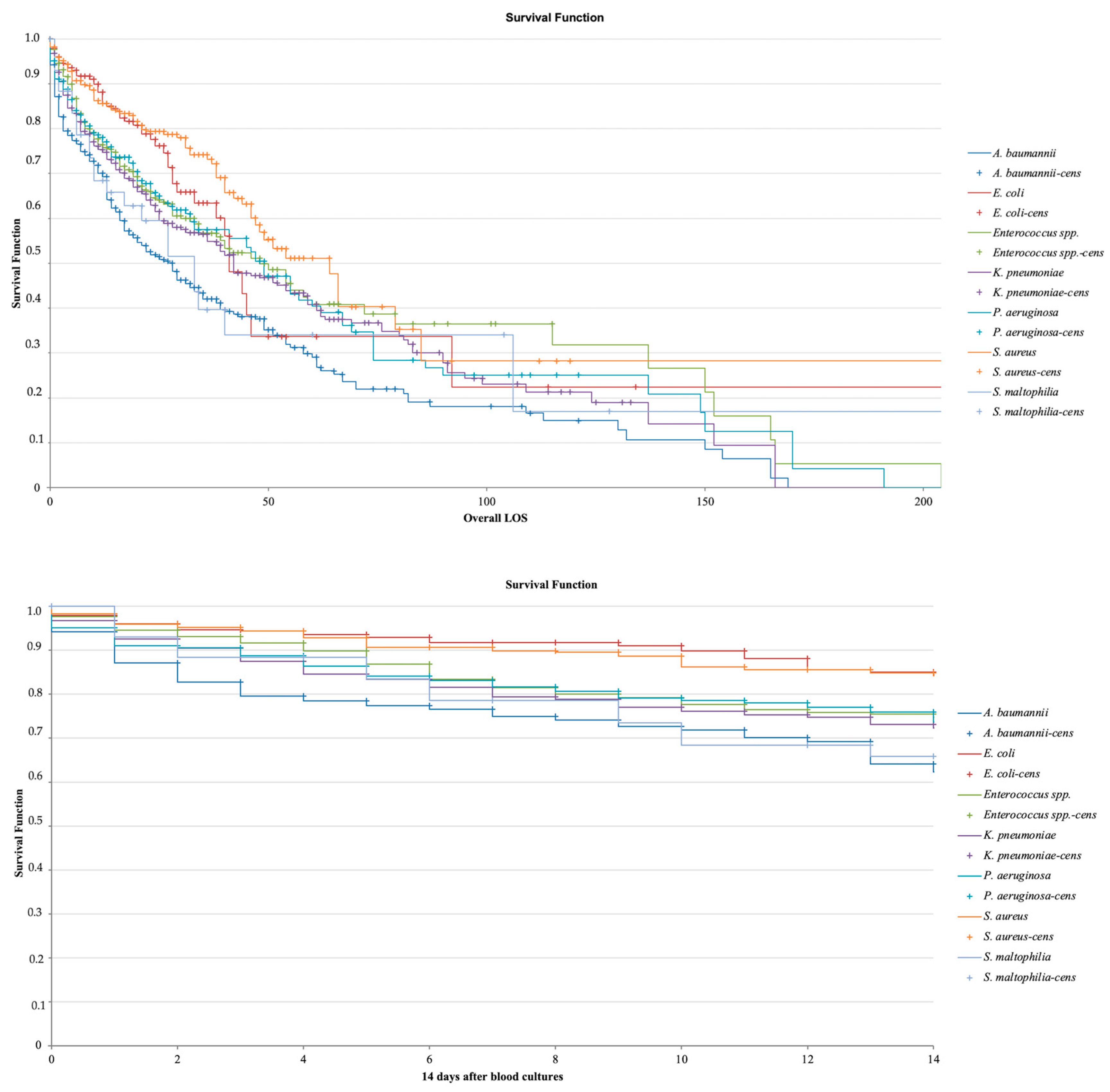 Antibiotics 14 00464 g014 Antibiotics 14 00464 g014